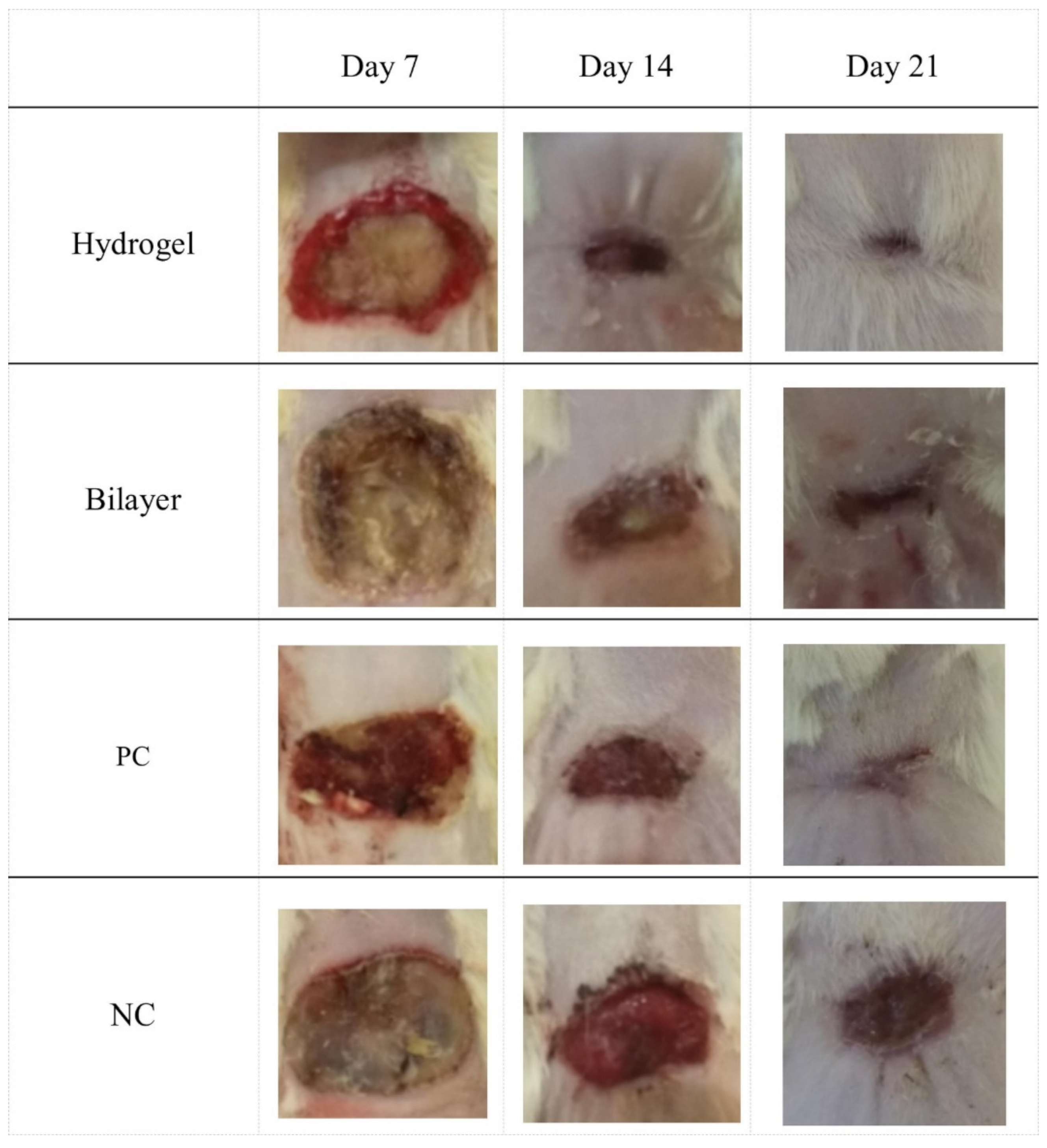 Polymers 14 03135 g019