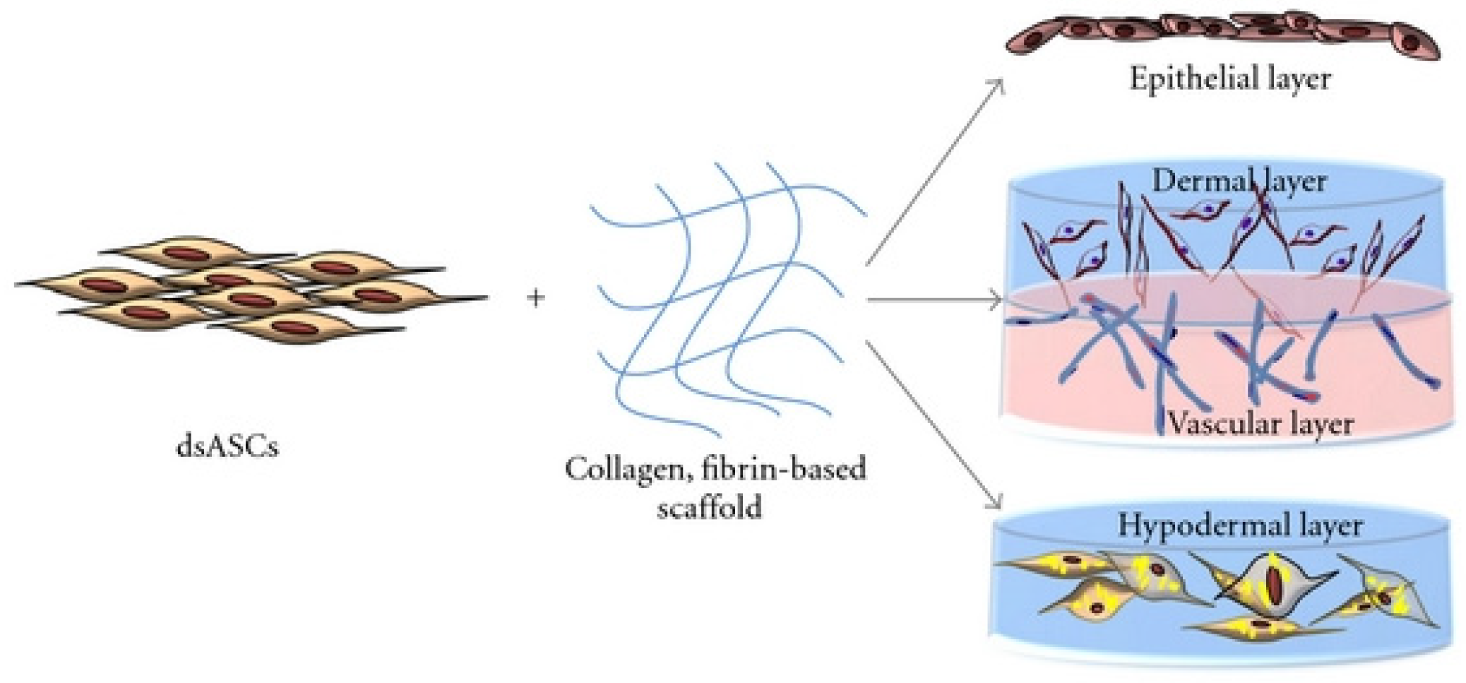 Polymers 14 03135 g021