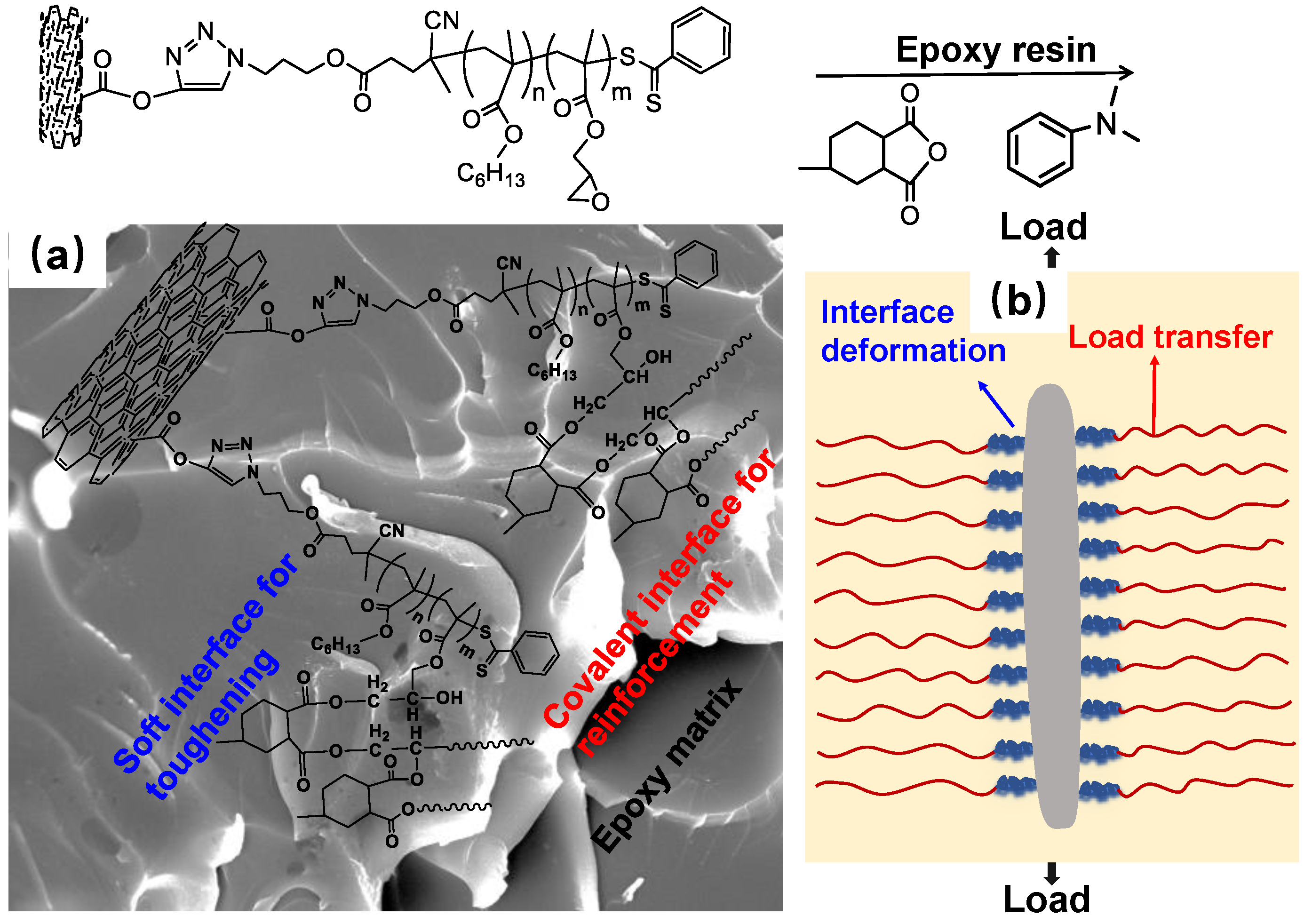 Polymers 14 03137 g008