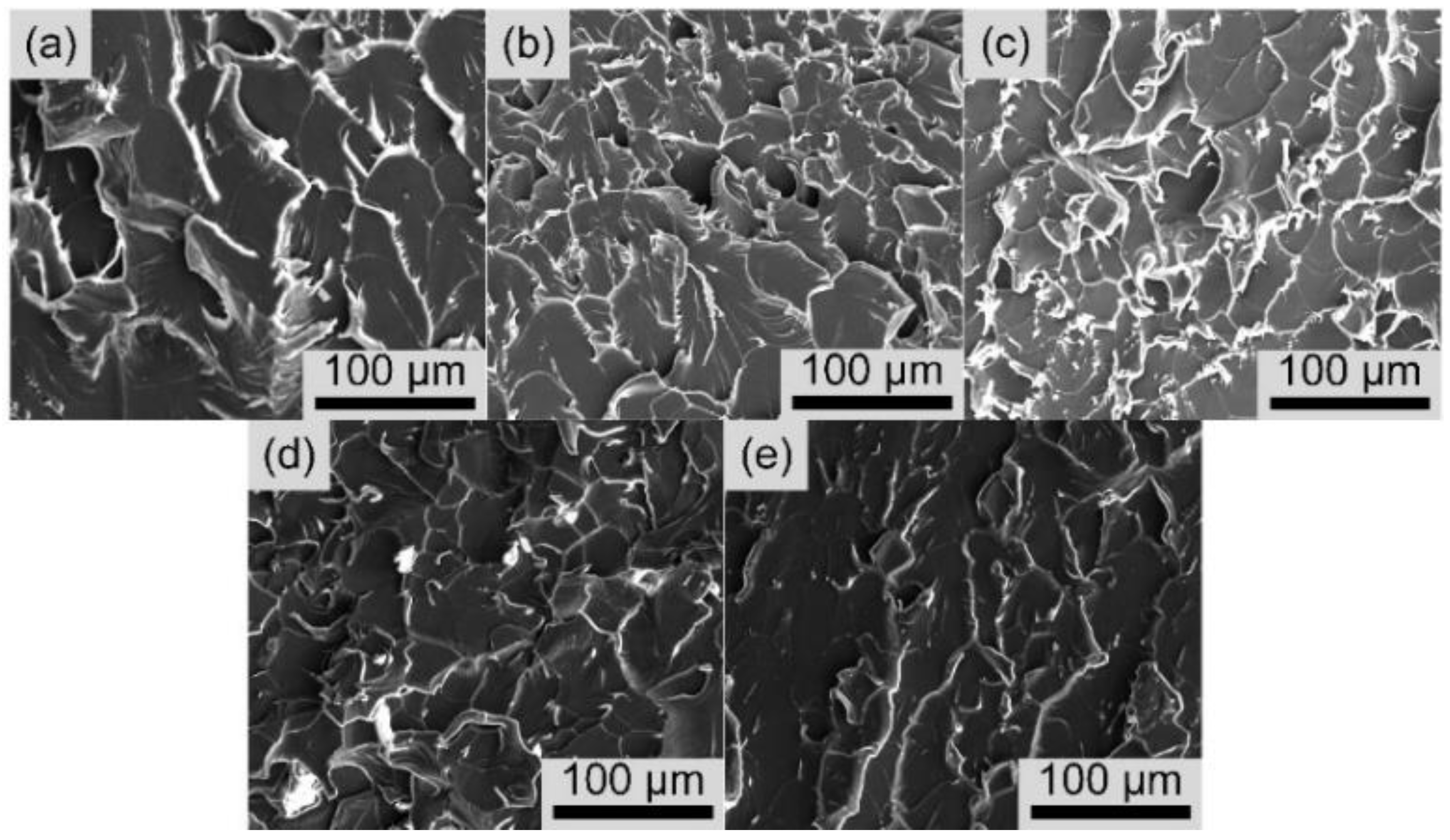 Polymers 14 03137 g009