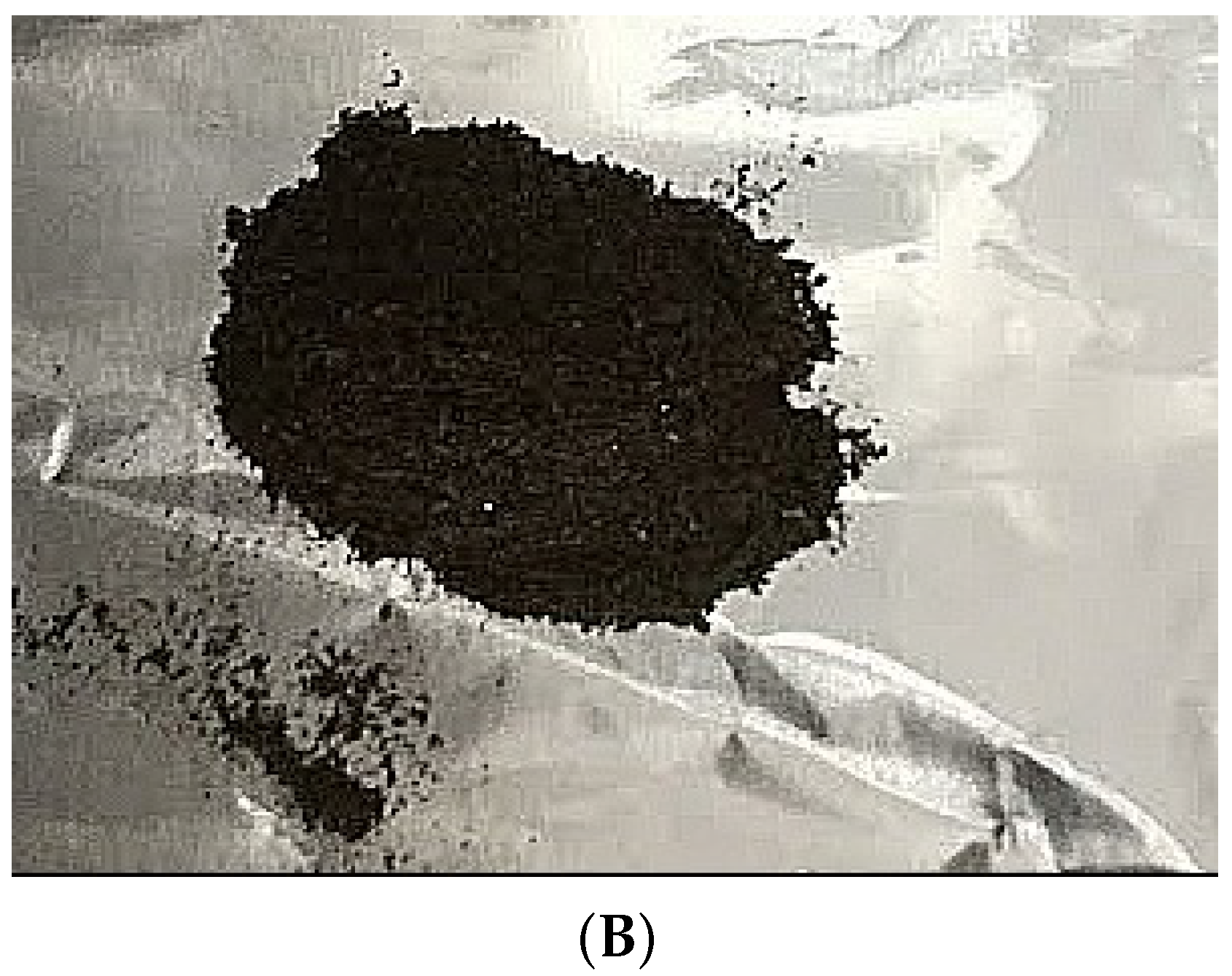 Polymers 14 03138 g002b
