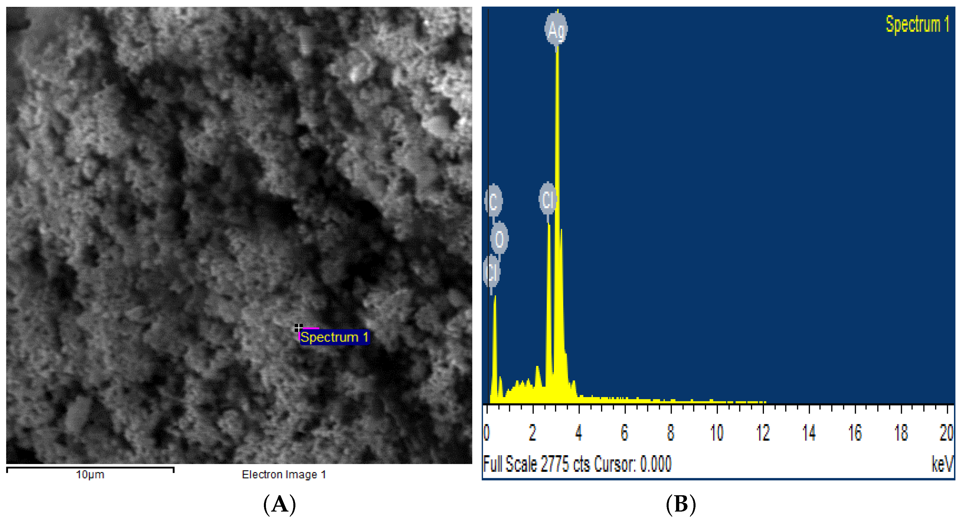 Polymers 14 03138 g007