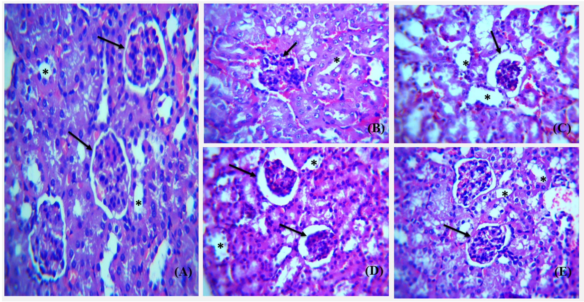 Polymers 14 03138 g020