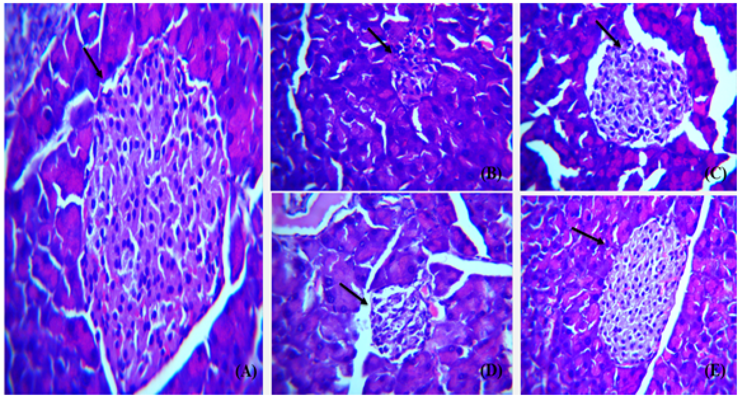 Polymers 14 03138 g021