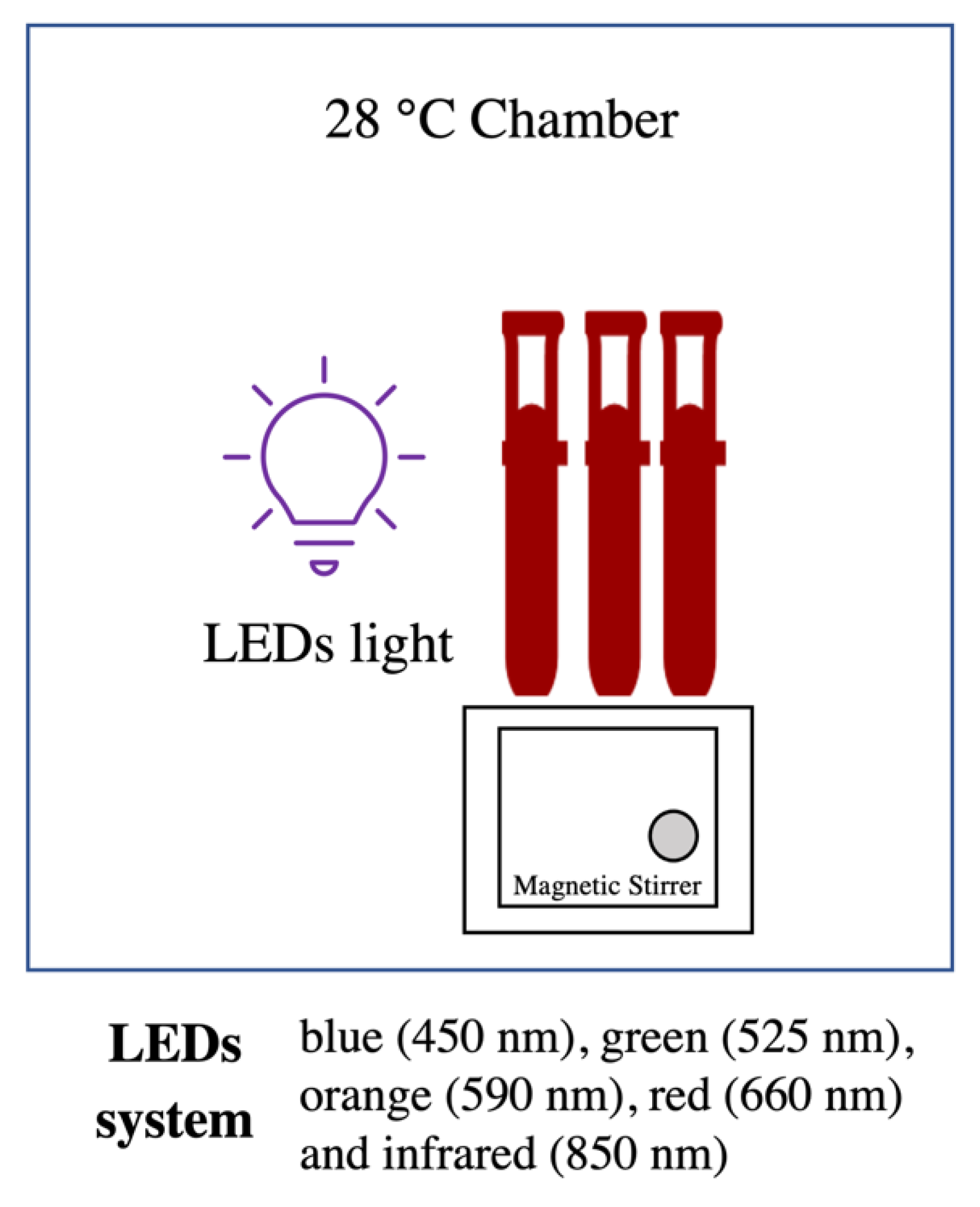 Polymers 14 03140 g001