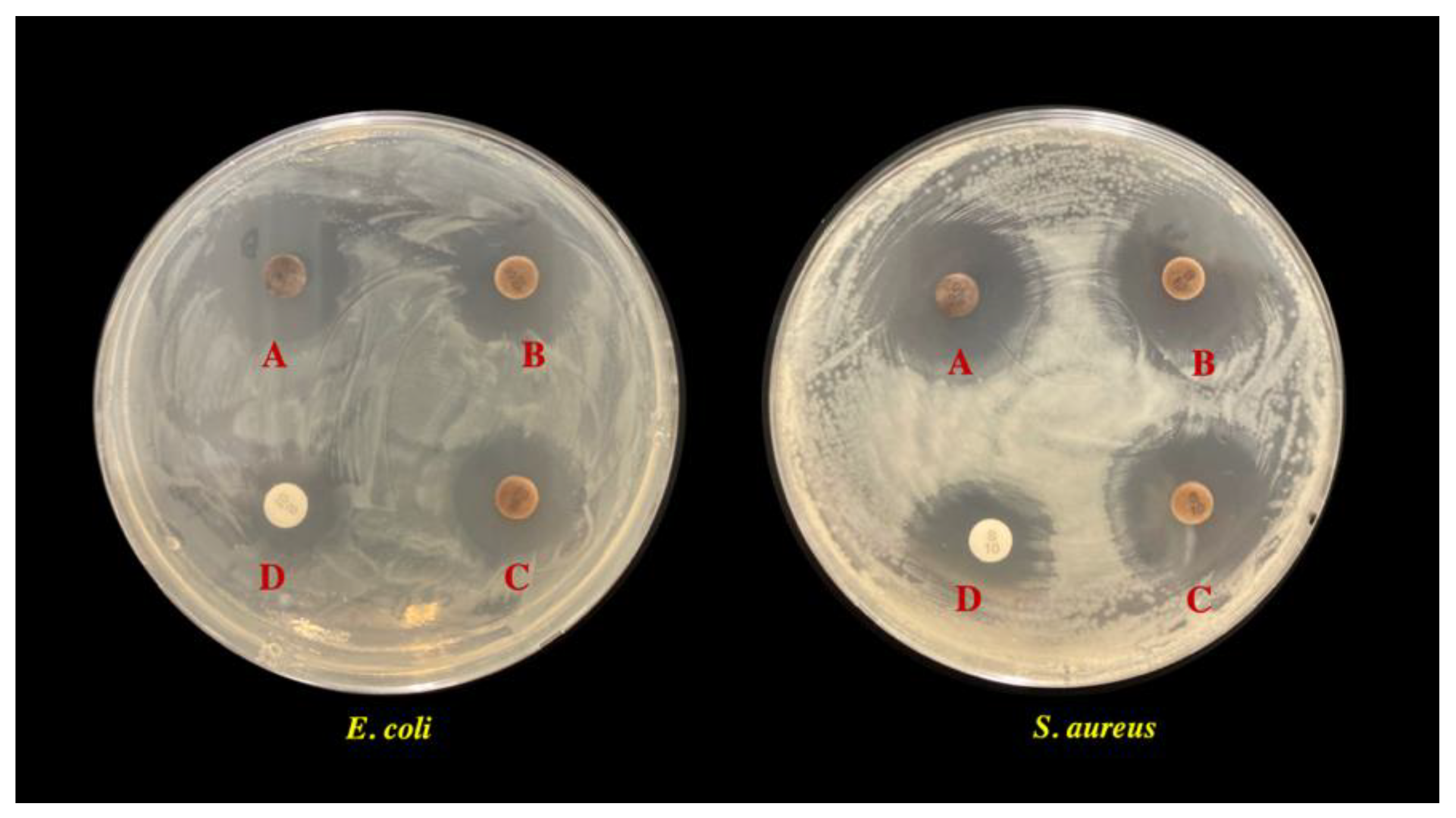 Polymers 14 03140 g008
