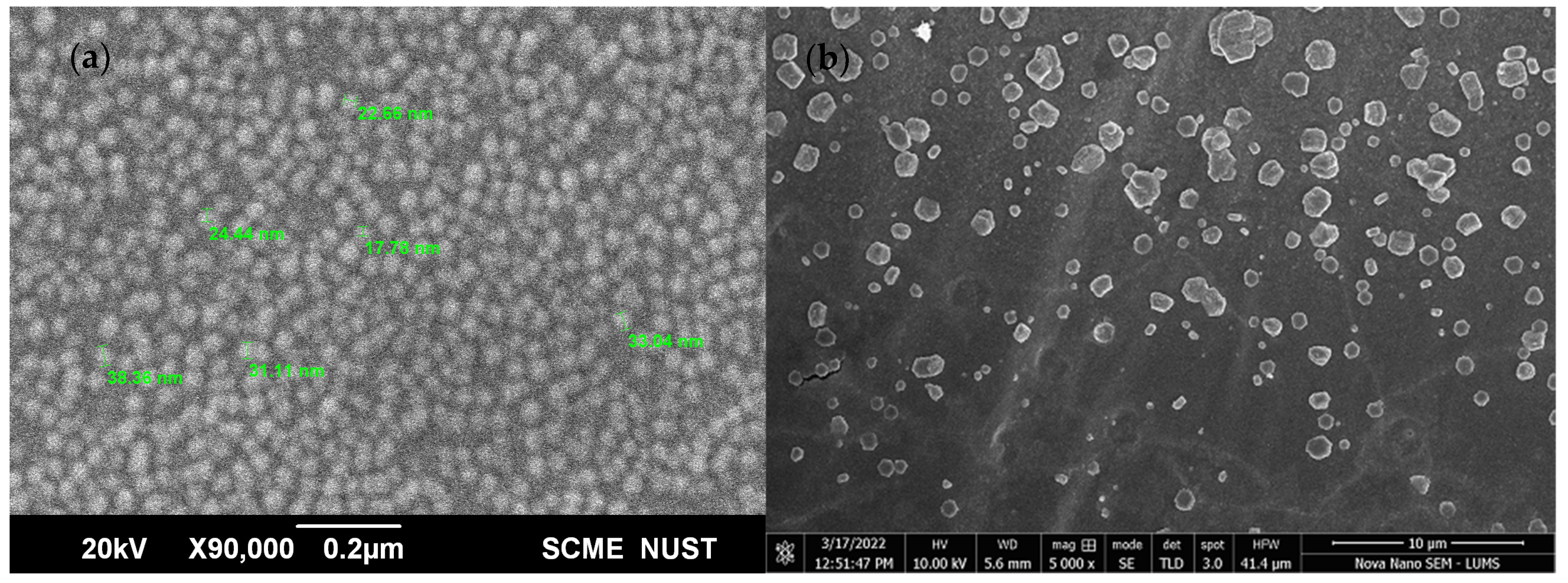 Polymers 14 03143 g002