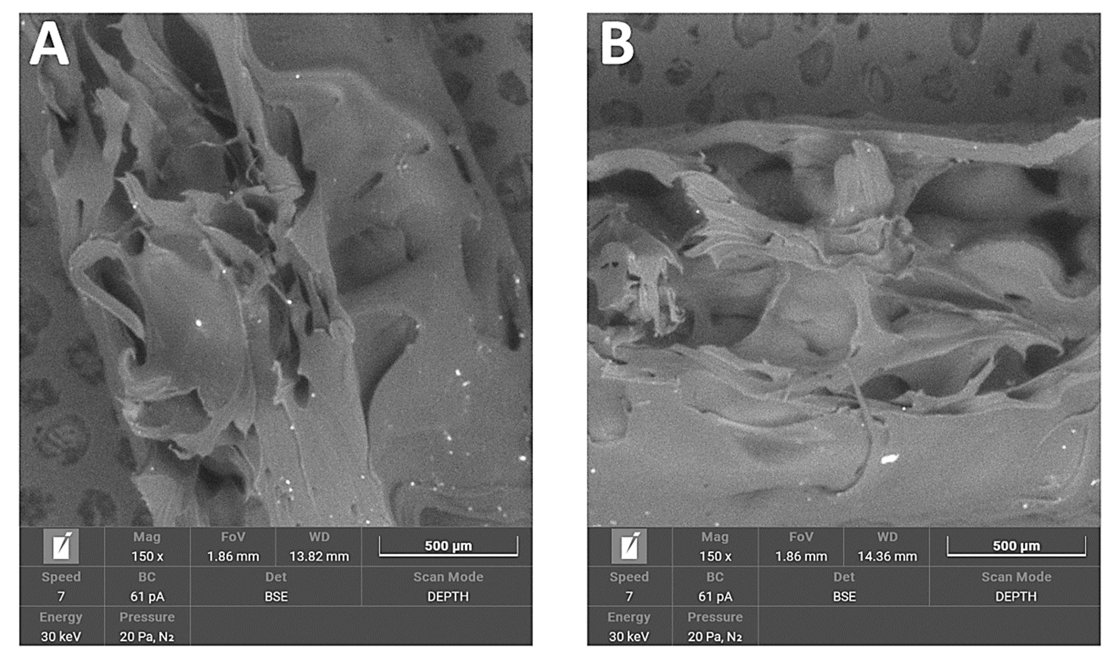 Polymers 14 03152 g012