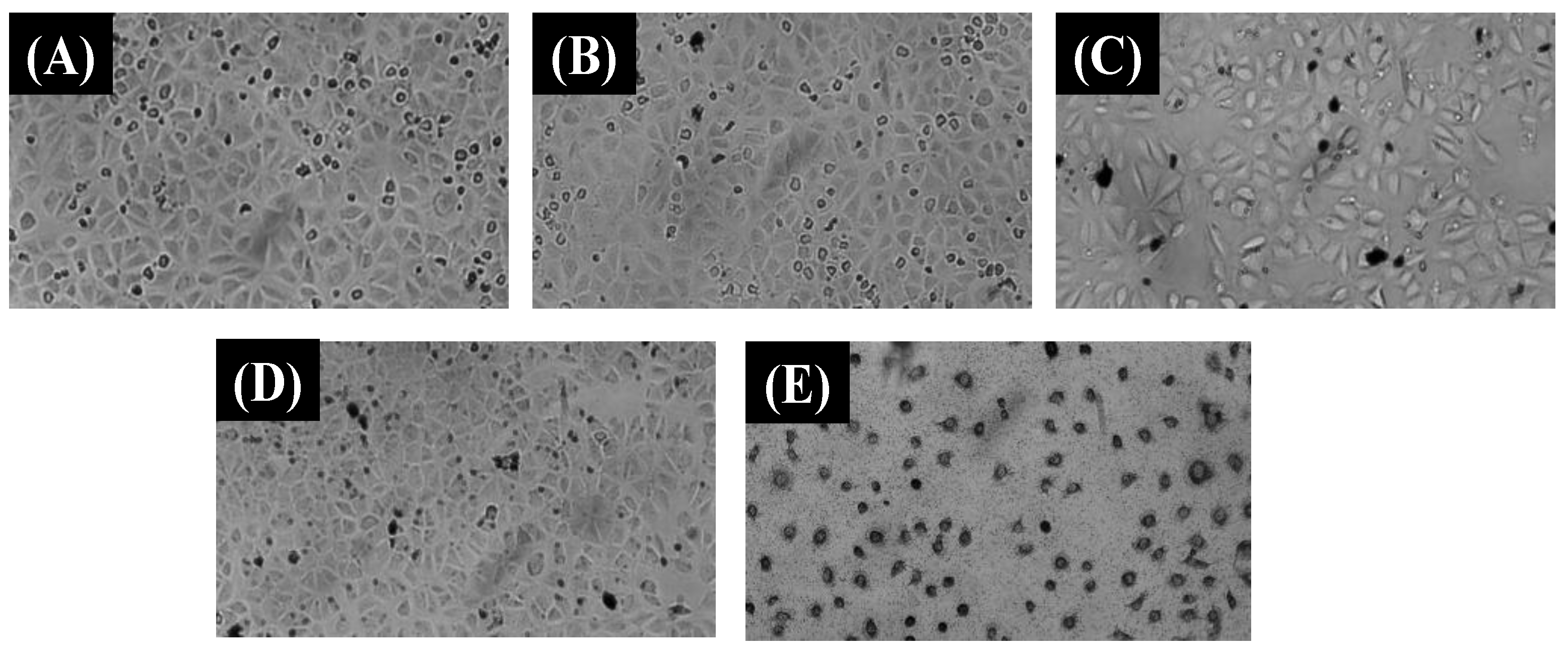 Polymers 14 03163 g009 Polymers 14 03163 g009