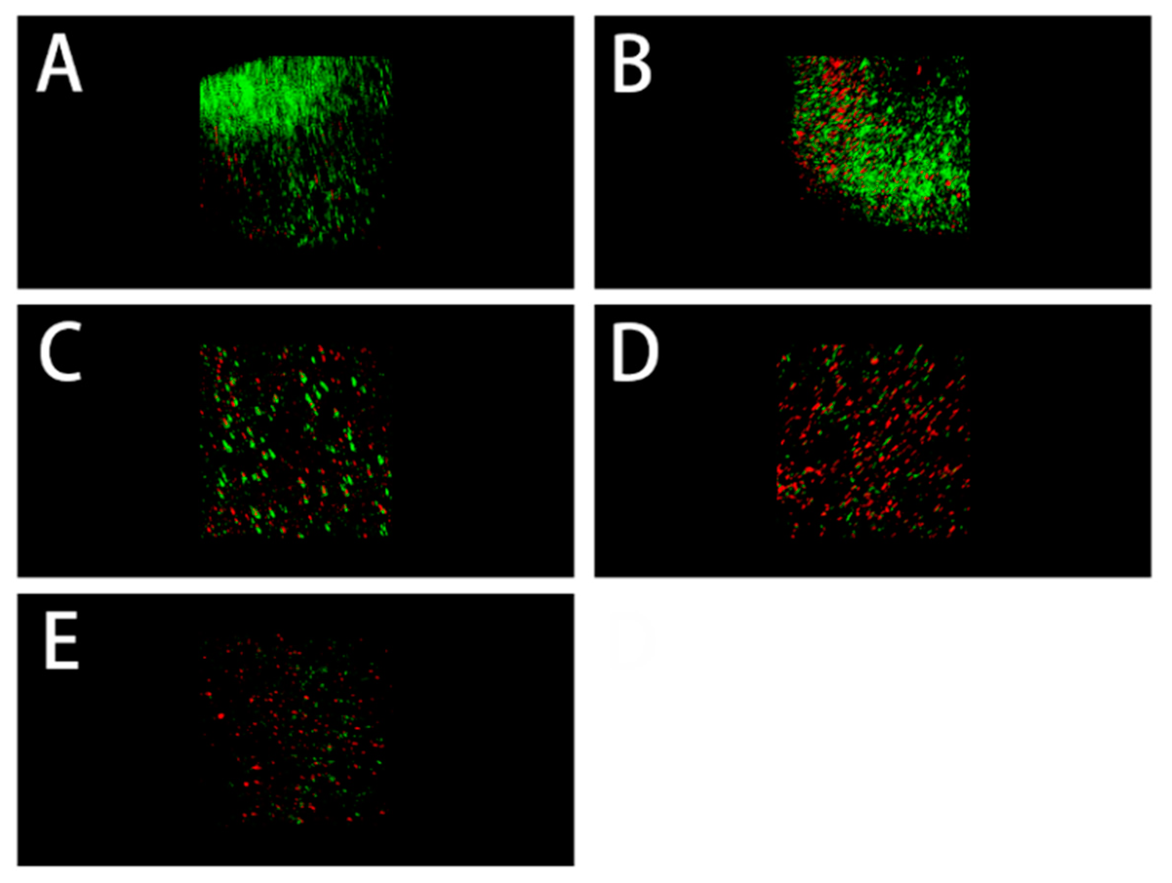 Polymers 14 03166 g007
