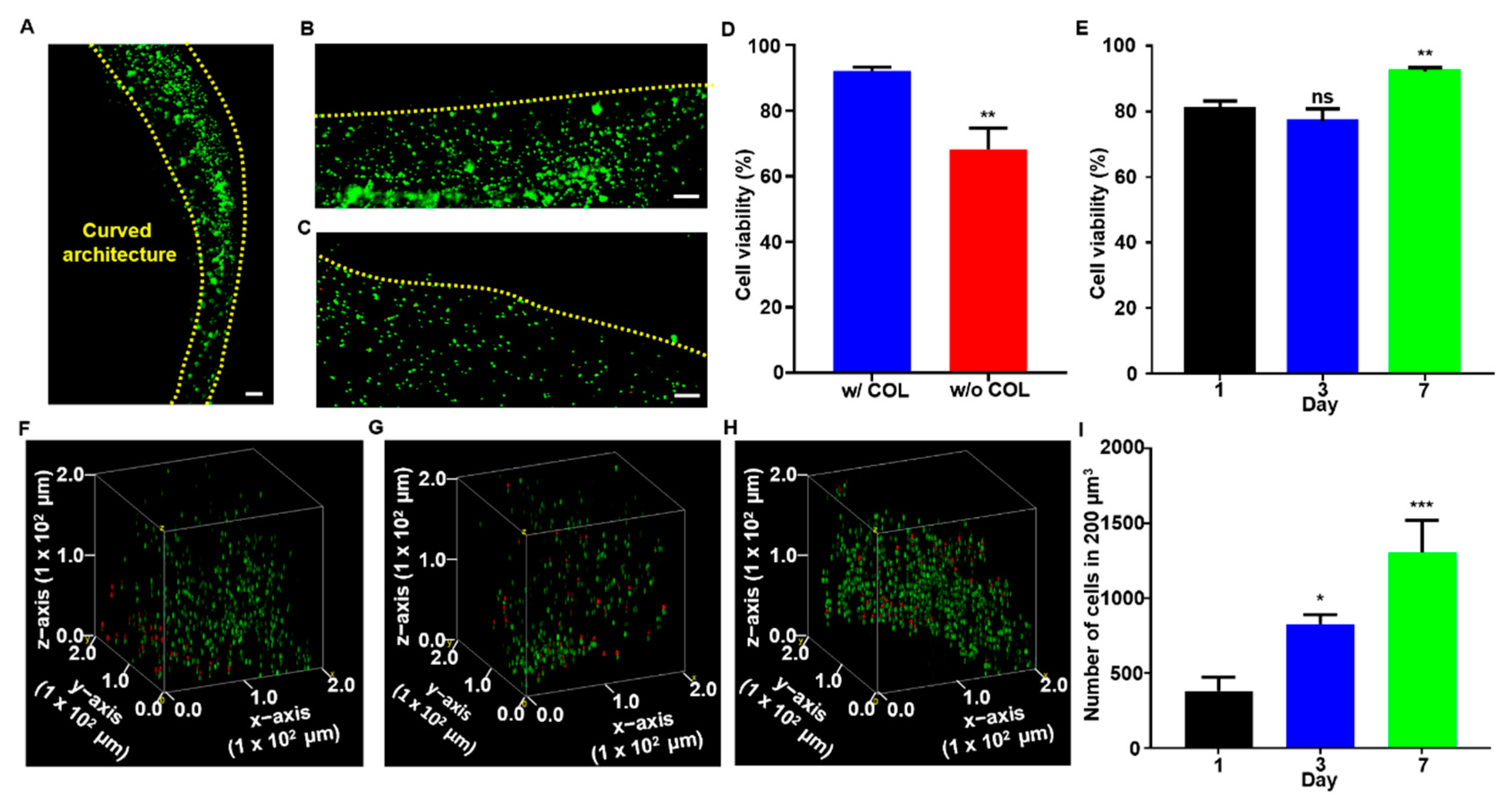 Polymers 14 03173 g005