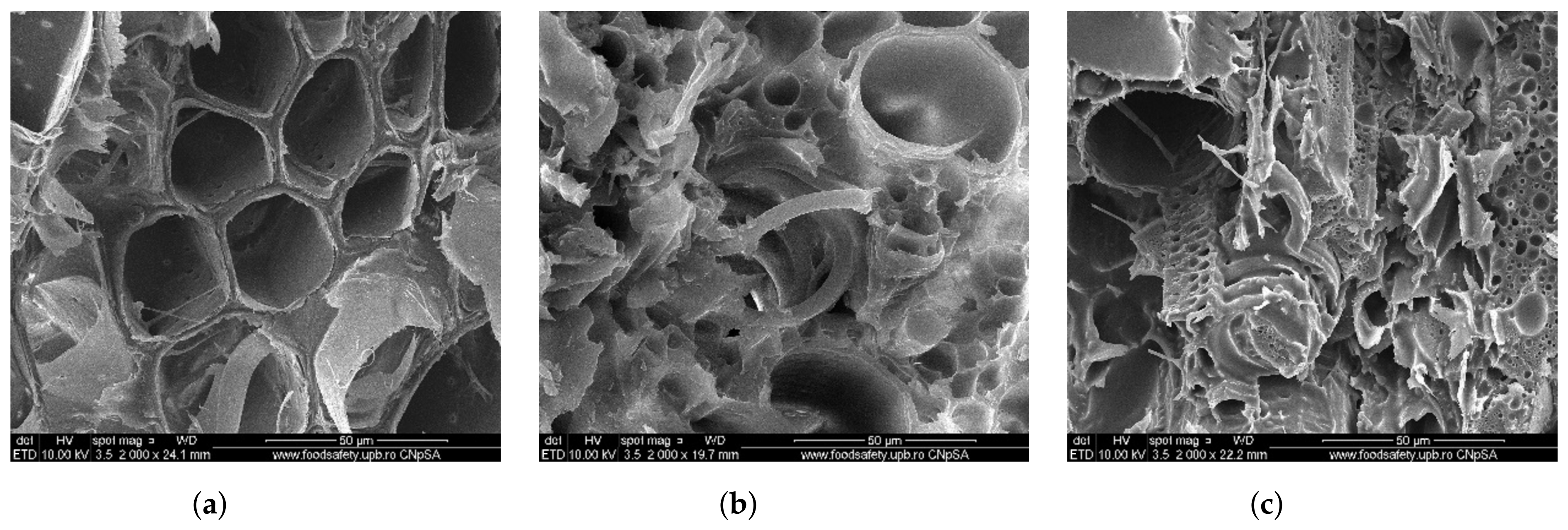Polymers 14 03175 g006 Polymers 14 03175 g006