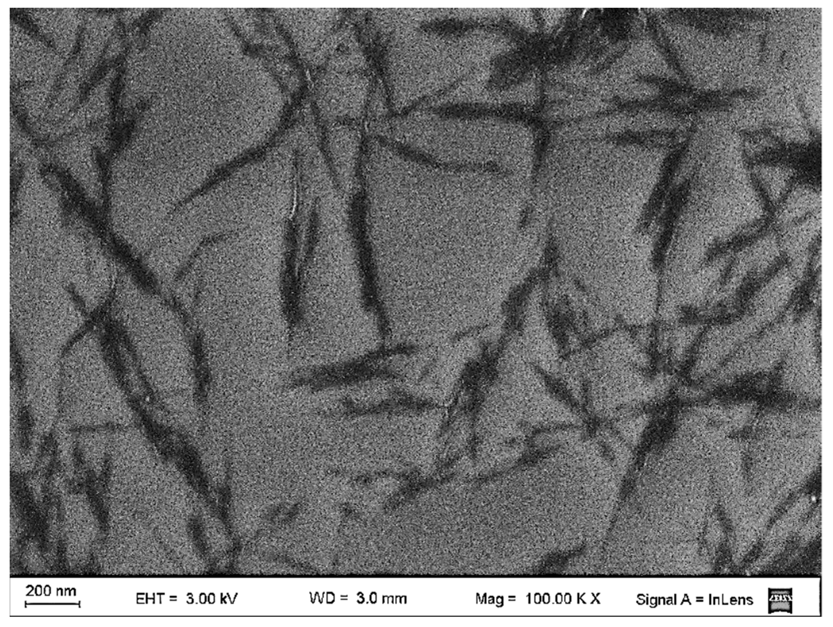 Polymers 14 03177 g001 550