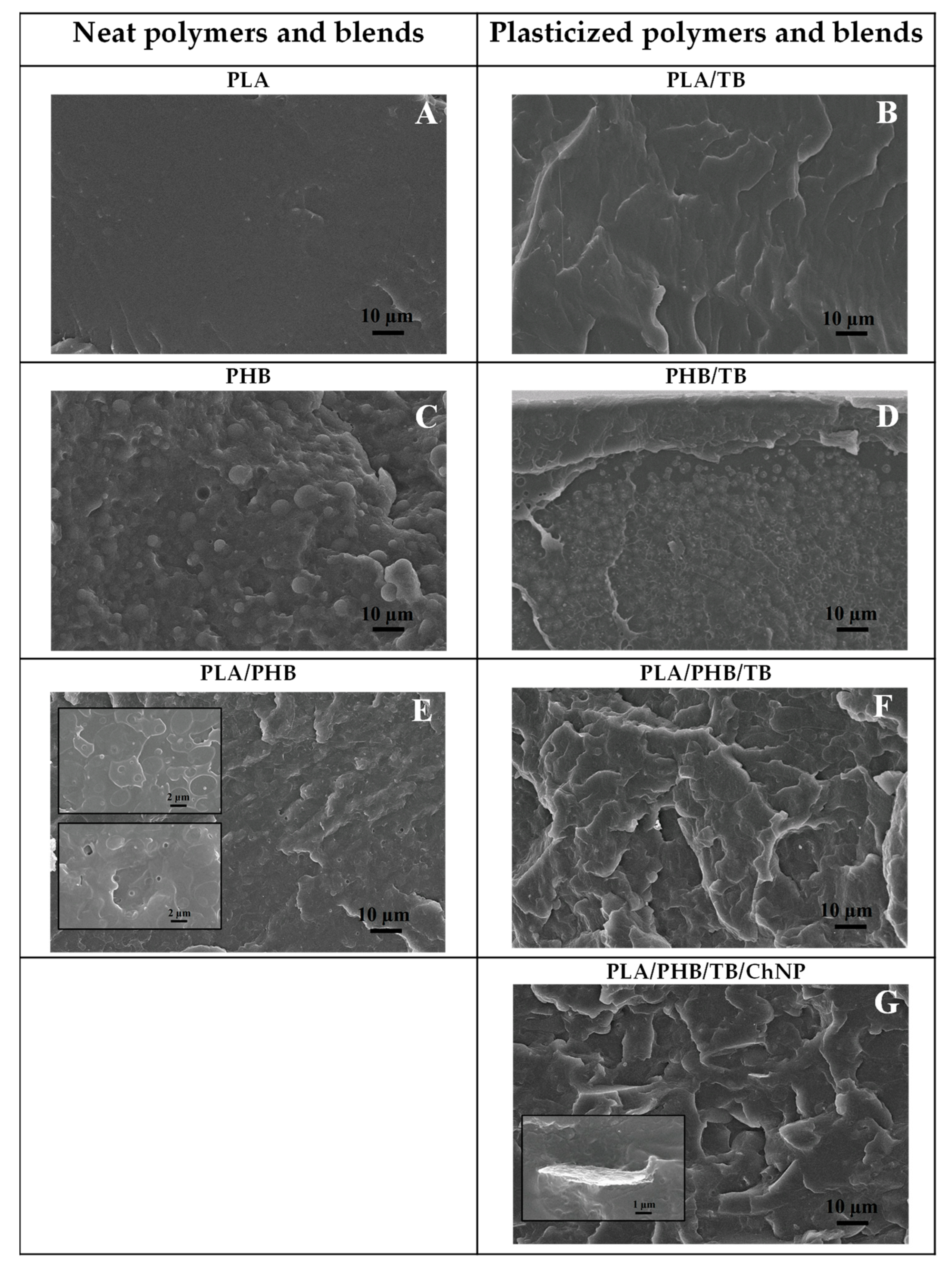 Polymers 14 03177 g004 550