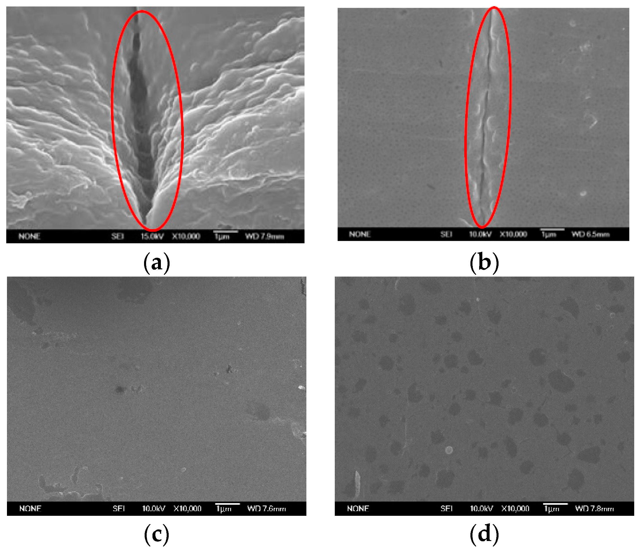 Polymers 14 03181 g009 550