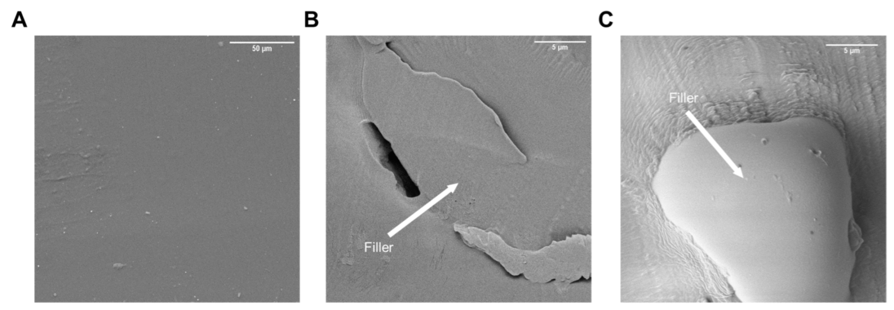 Polymers 14 03184 g005