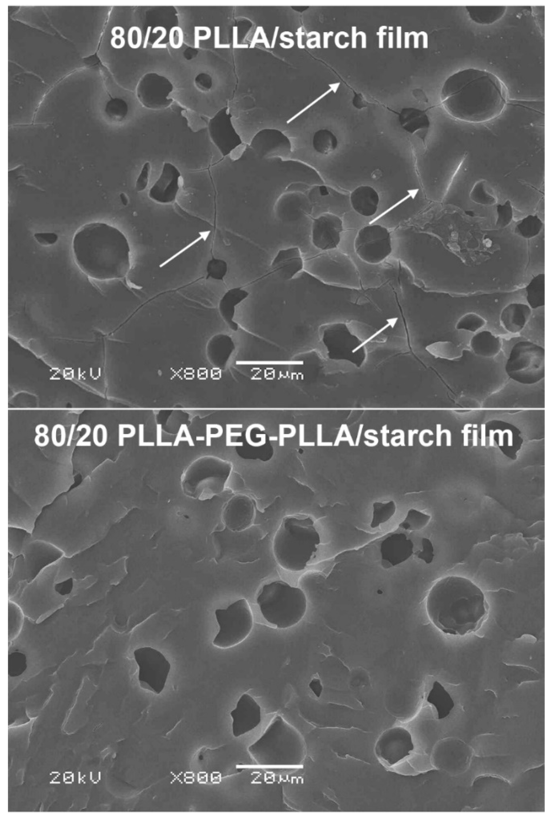 Polymers 14 03186 g007 Polymers 14 03186 g007