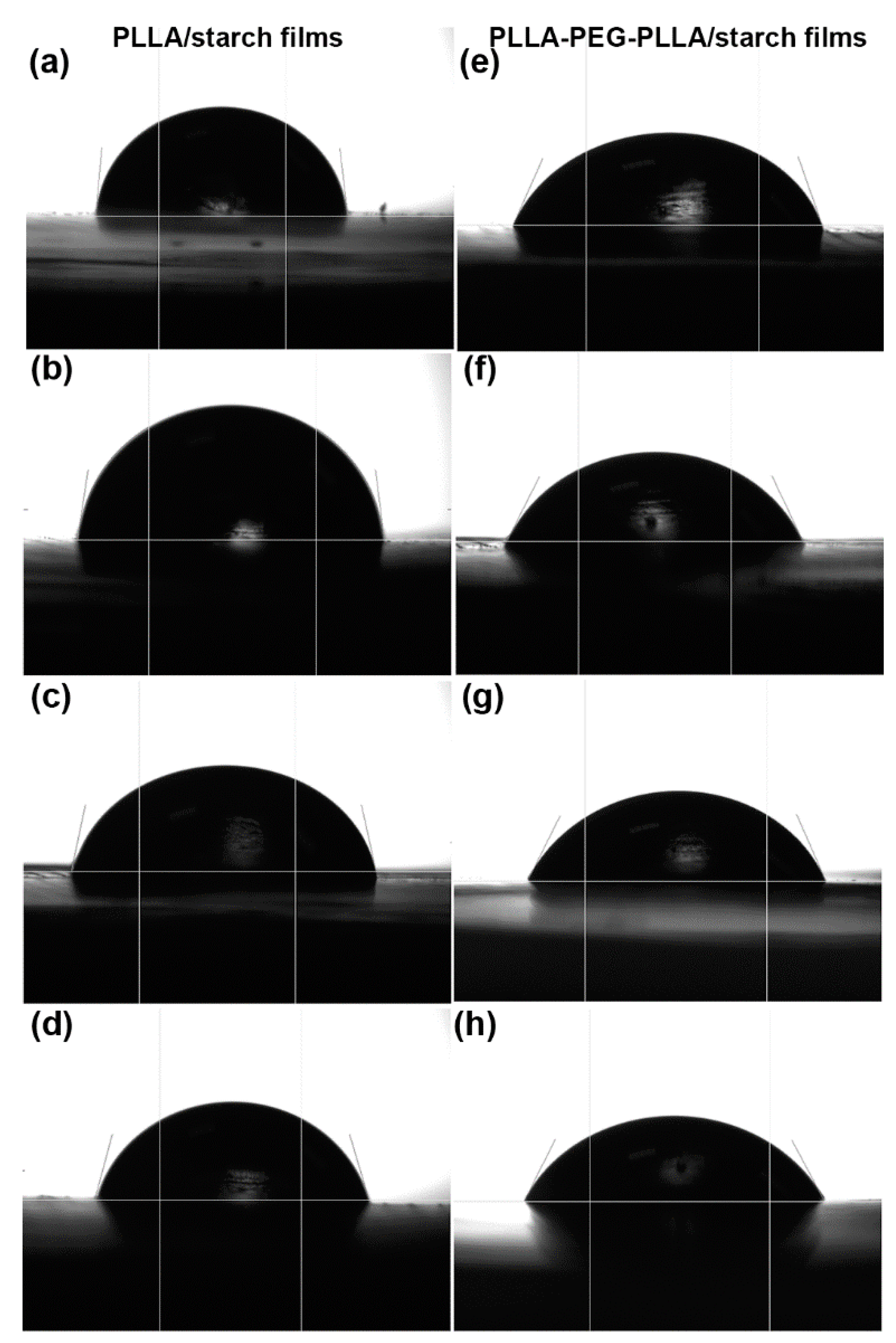 Polymers 14 03186 g009 Polymers 14 03186 g009