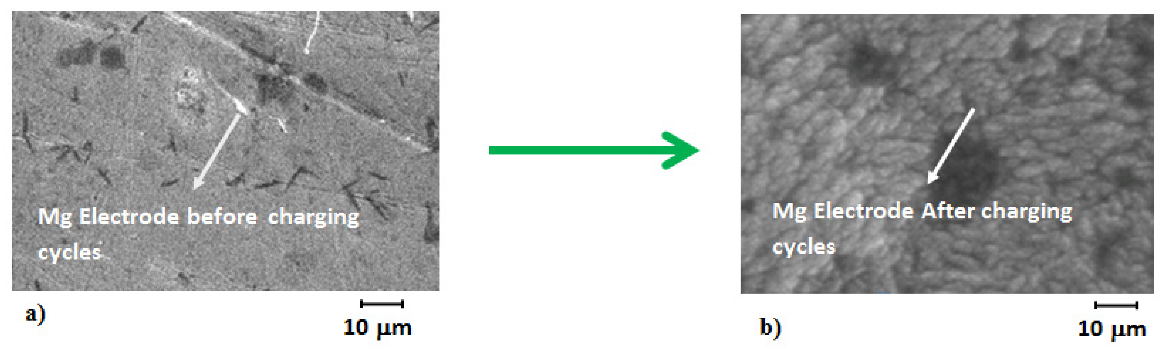 Polymers 14 03187 g009 550