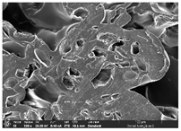 Polymers 14 03189 i015