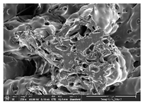 Polymers 14 03189 i017