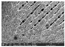 Polymers 14 03189 i022
