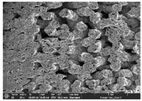 Polymers 14 03189 i031