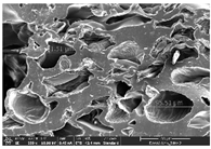 Polymers 14 03189 i033