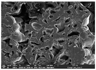 Polymers 14 03189 i038