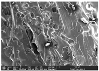 Polymers 14 03189 i041