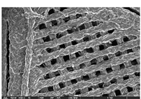 Polymers 14 03189 i043