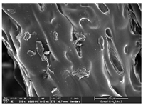 Polymers 14 03189 i048