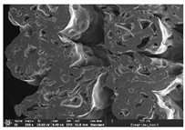 Polymers 14 03189 i053