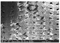 Polymers 14 03189 i055