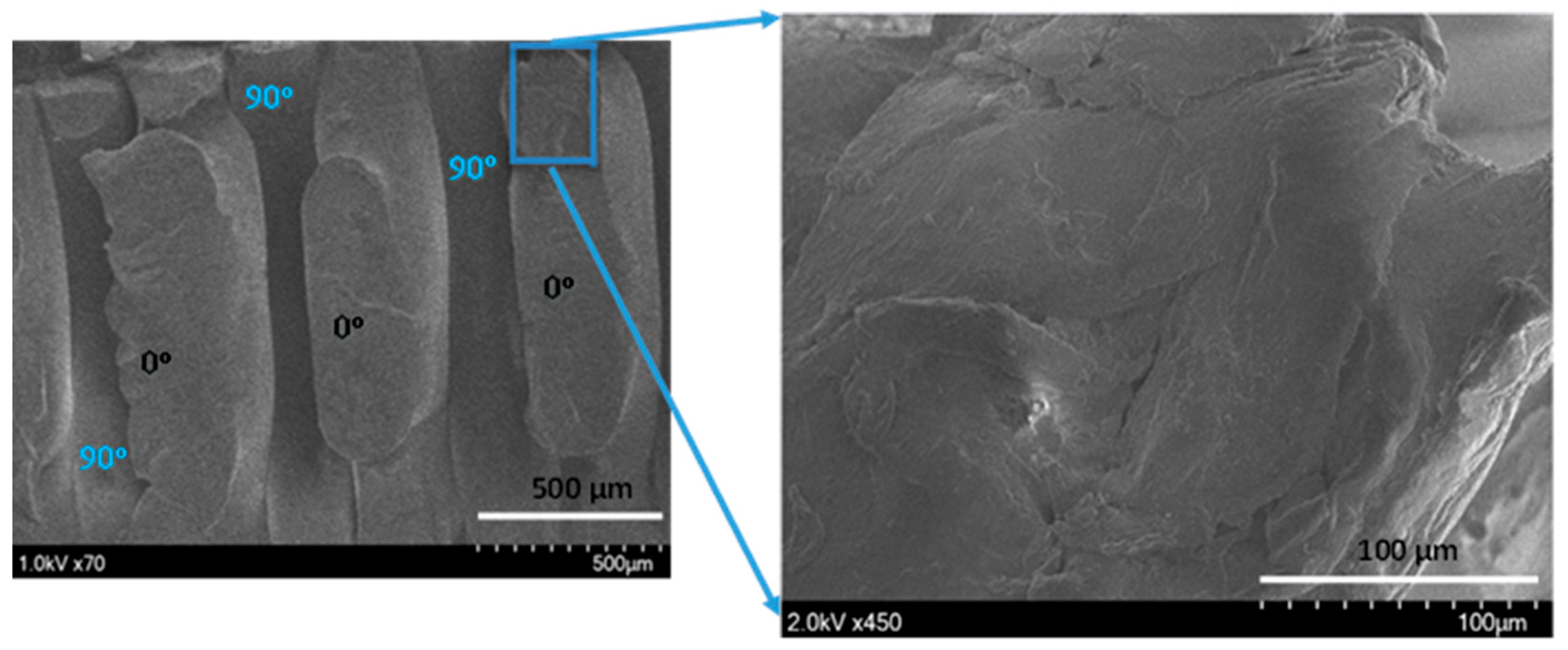 Polymers 14 03195 g001 550