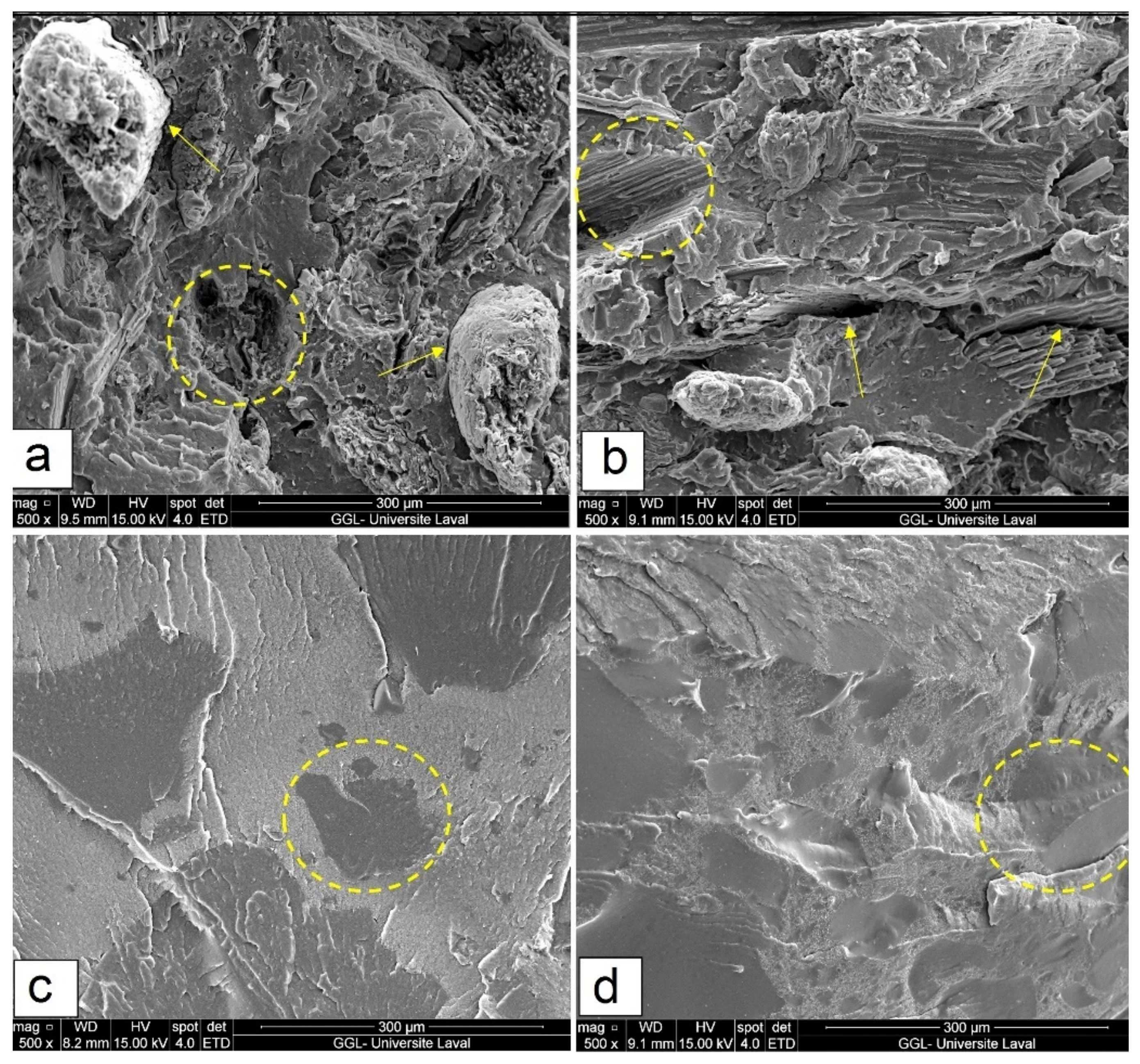 Polymers 14 03197 g002 Polymers 14 03197 g002