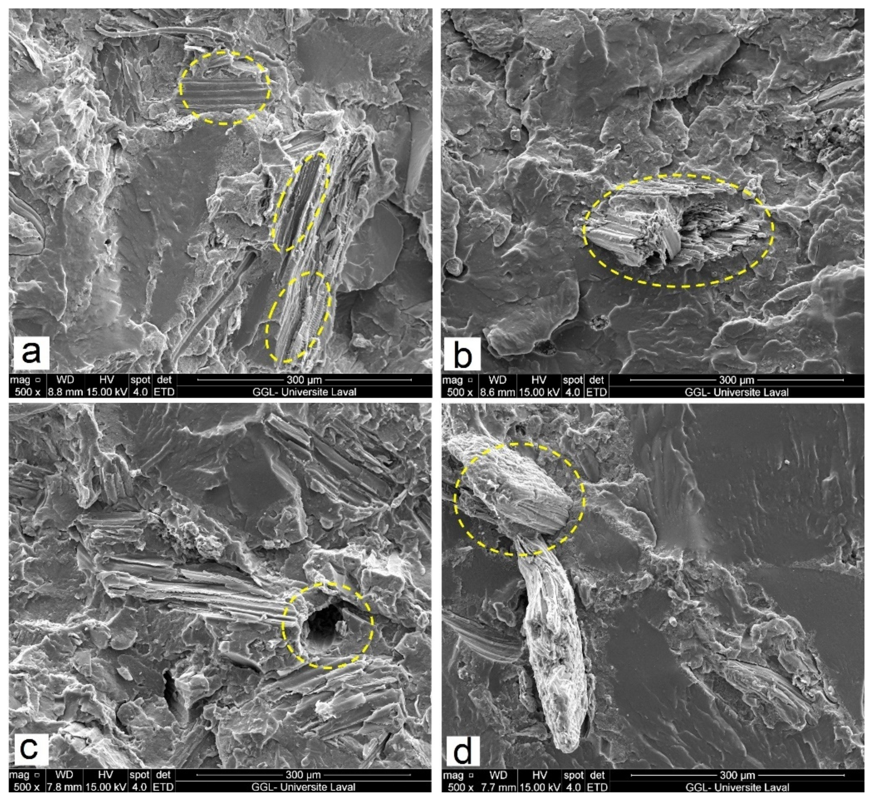Polymers 14 03197 g003 Polymers 14 03197 g003