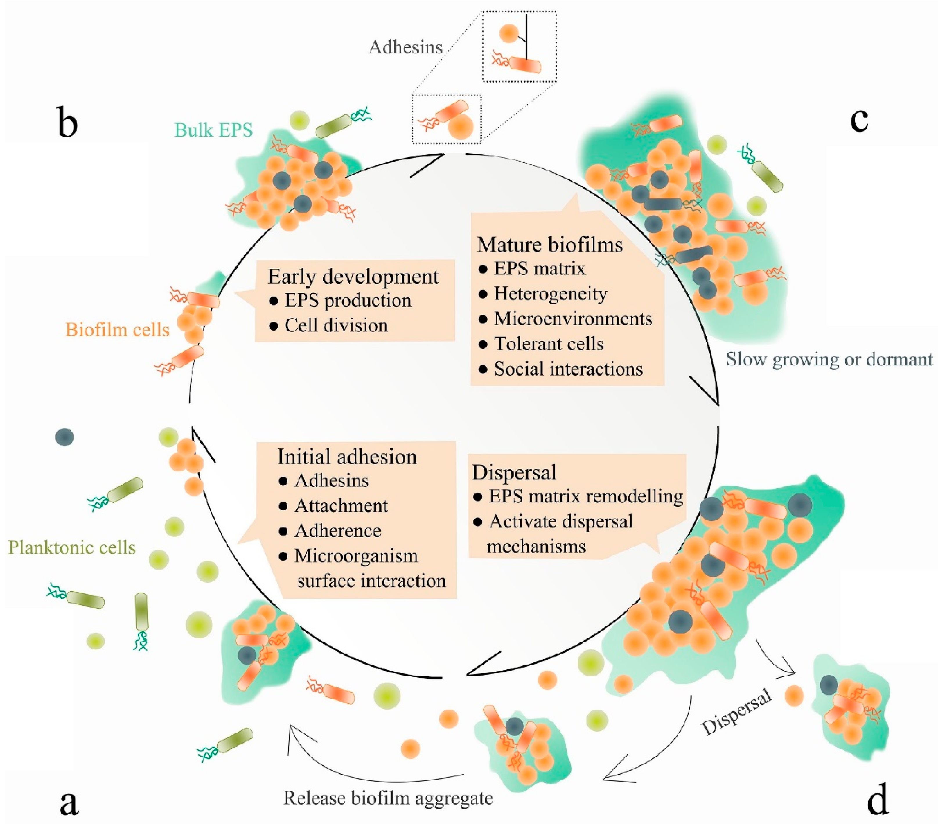 Polymers 14 03198 g002 Polymers 14 03198 g002