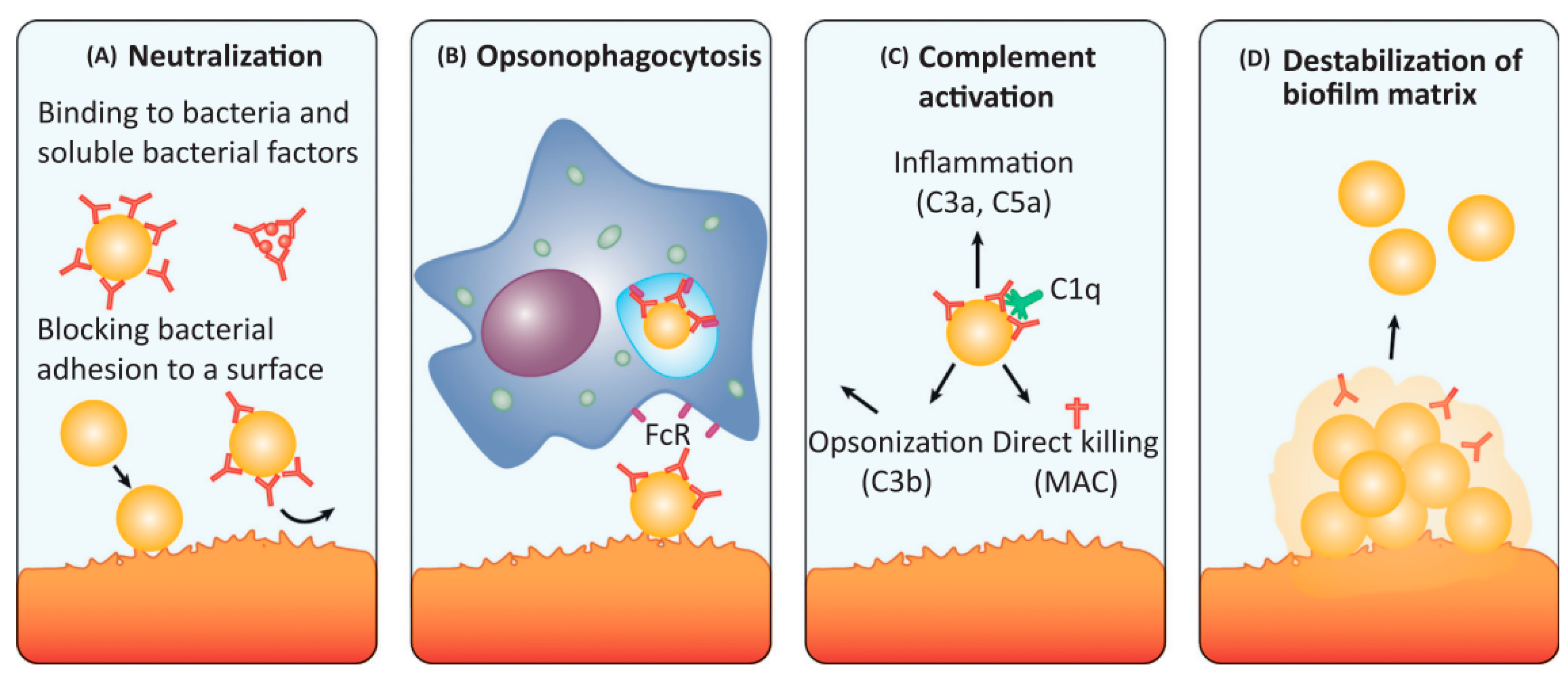 Polymers 14 03198 g003 Polymers 14 03198 g003