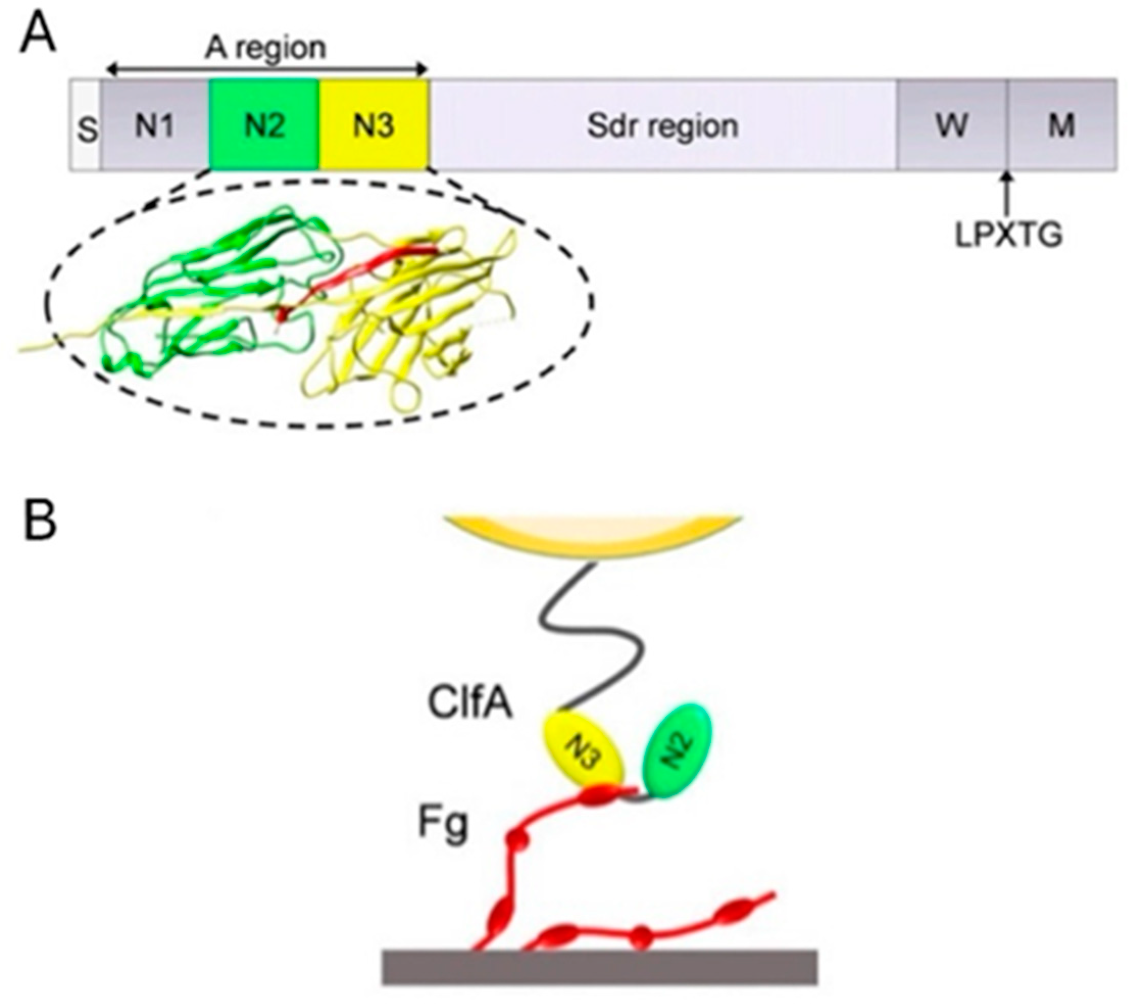 Polymers 14 03198 g005 Polymers 14 03198 g005