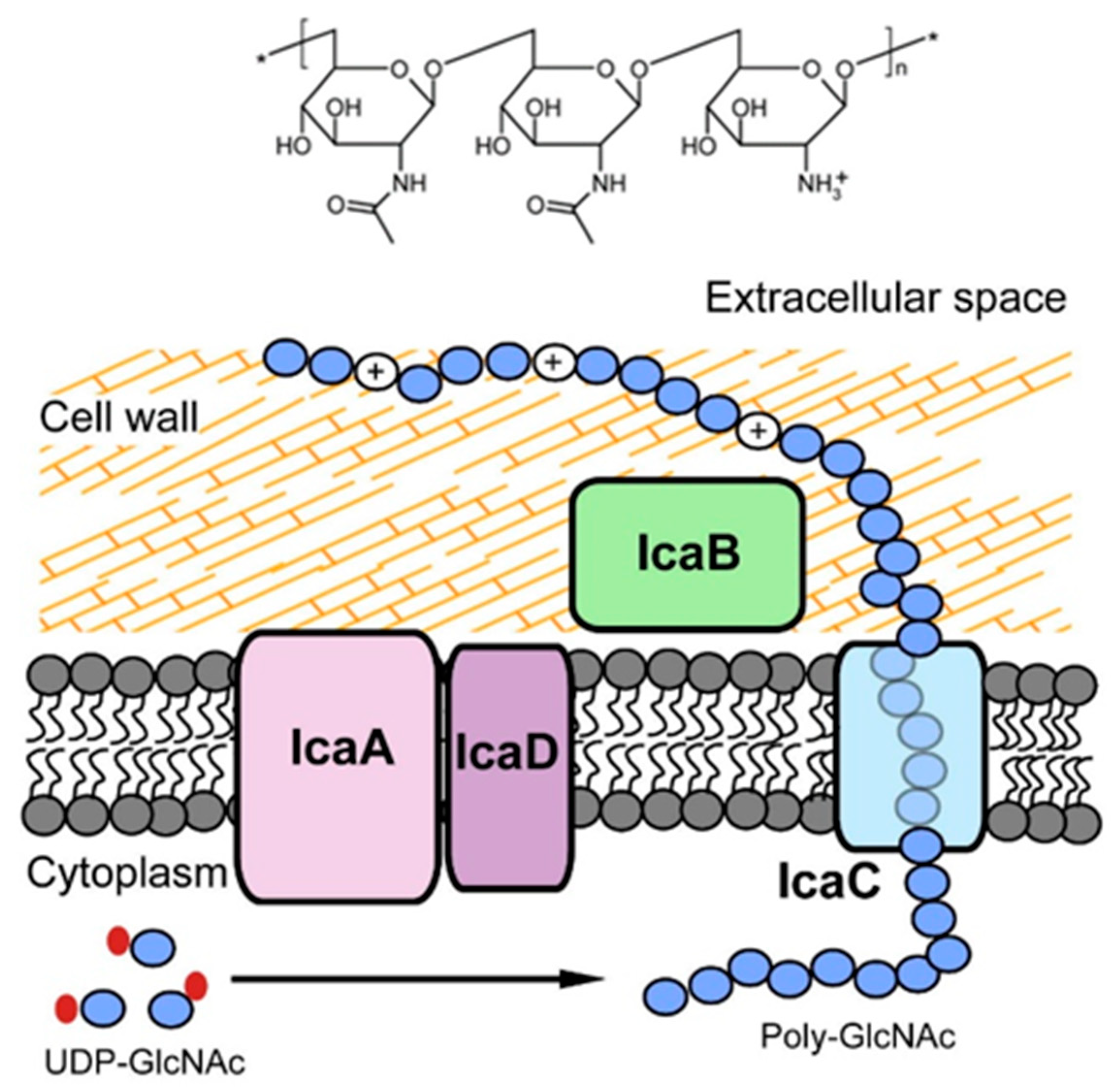 Polymers 14 03198 g007 Polymers 14 03198 g007