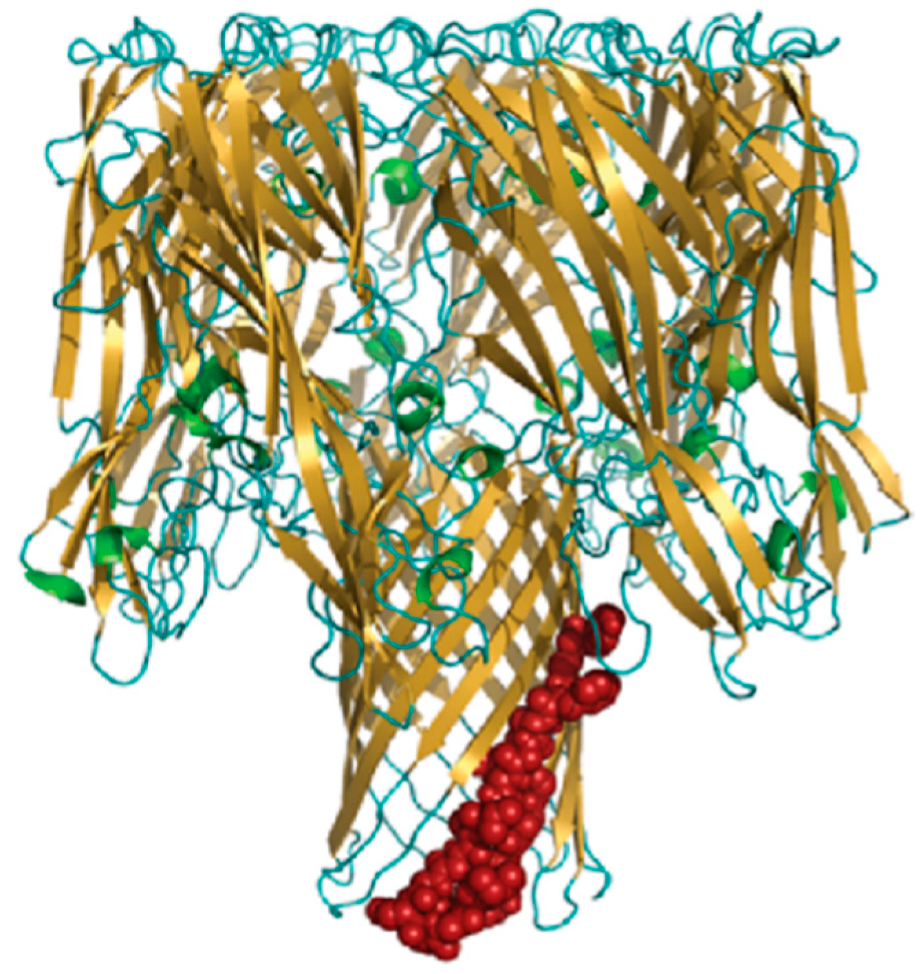 Polymers 14 03198 g010 Polymers 14 03198 g010