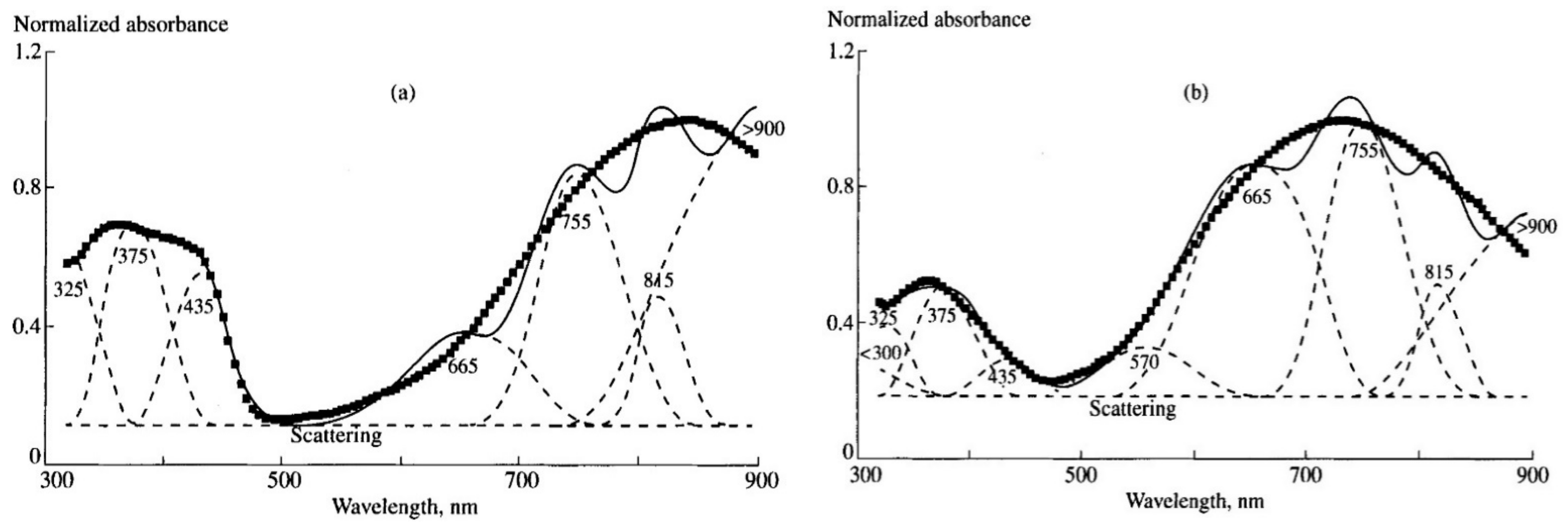 Polymers 14 03201 g004