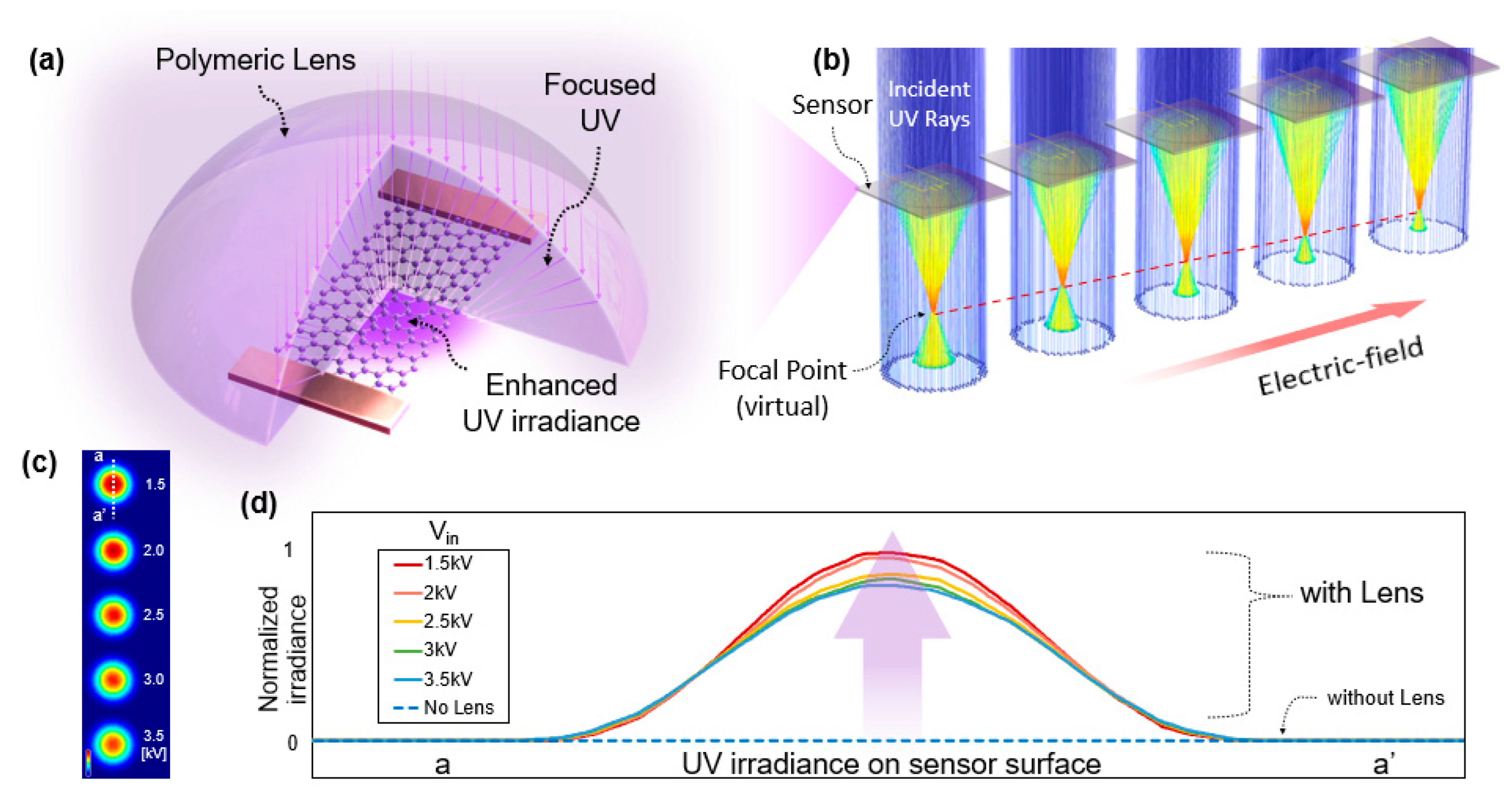 Polymers 14 03204 g007