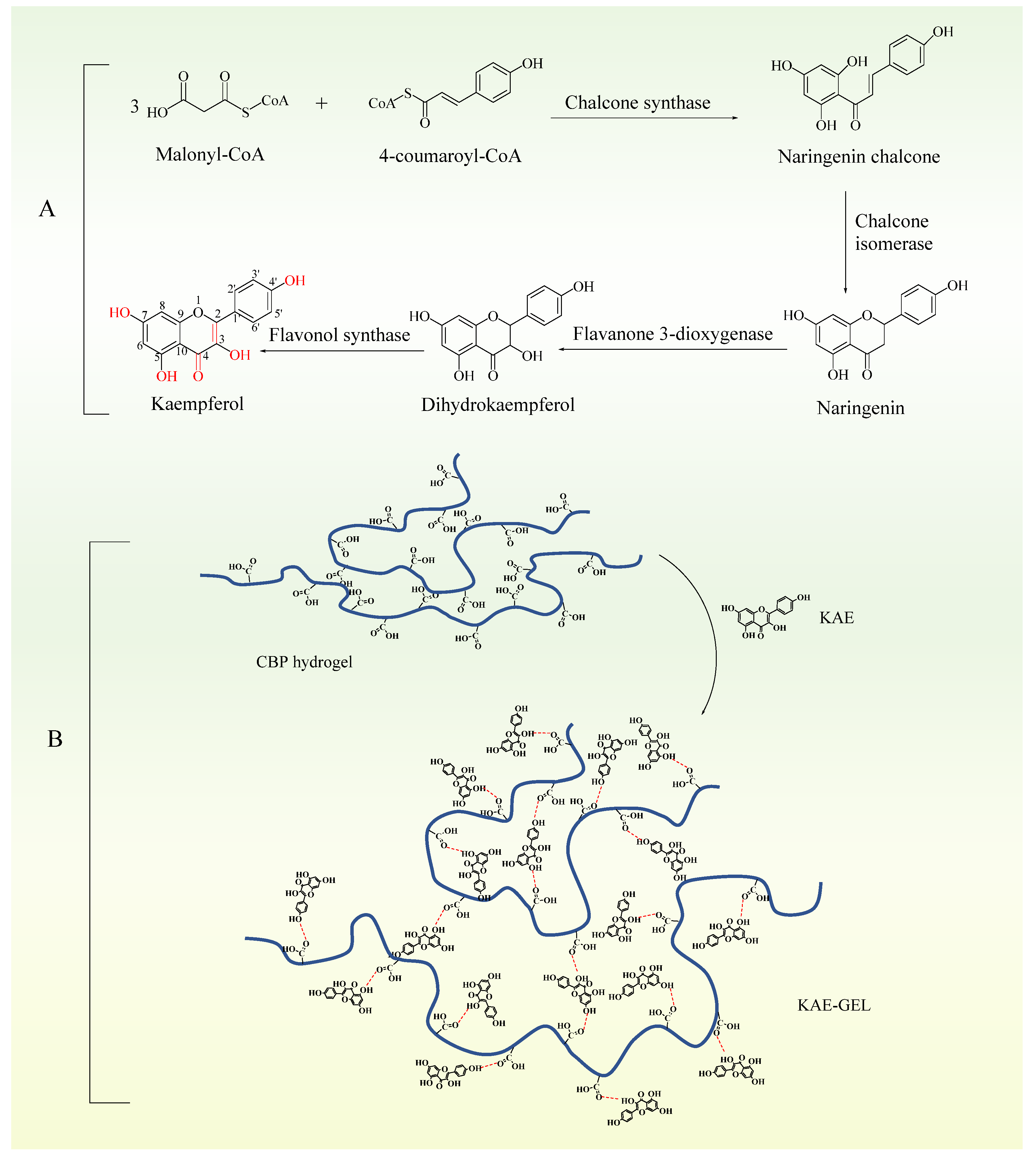 Polymers 14 03205 g003