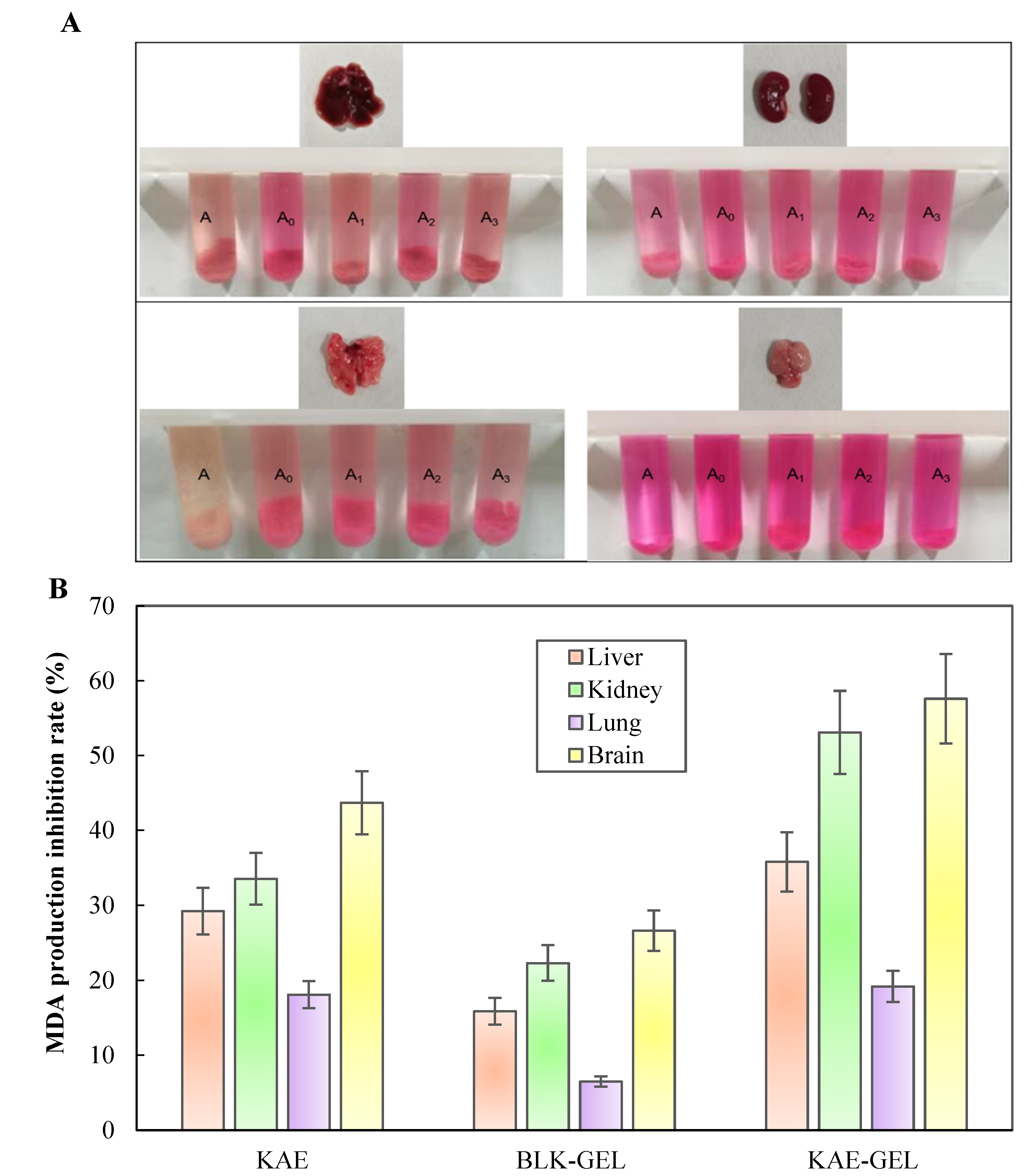 Polymers 14 03205 g006