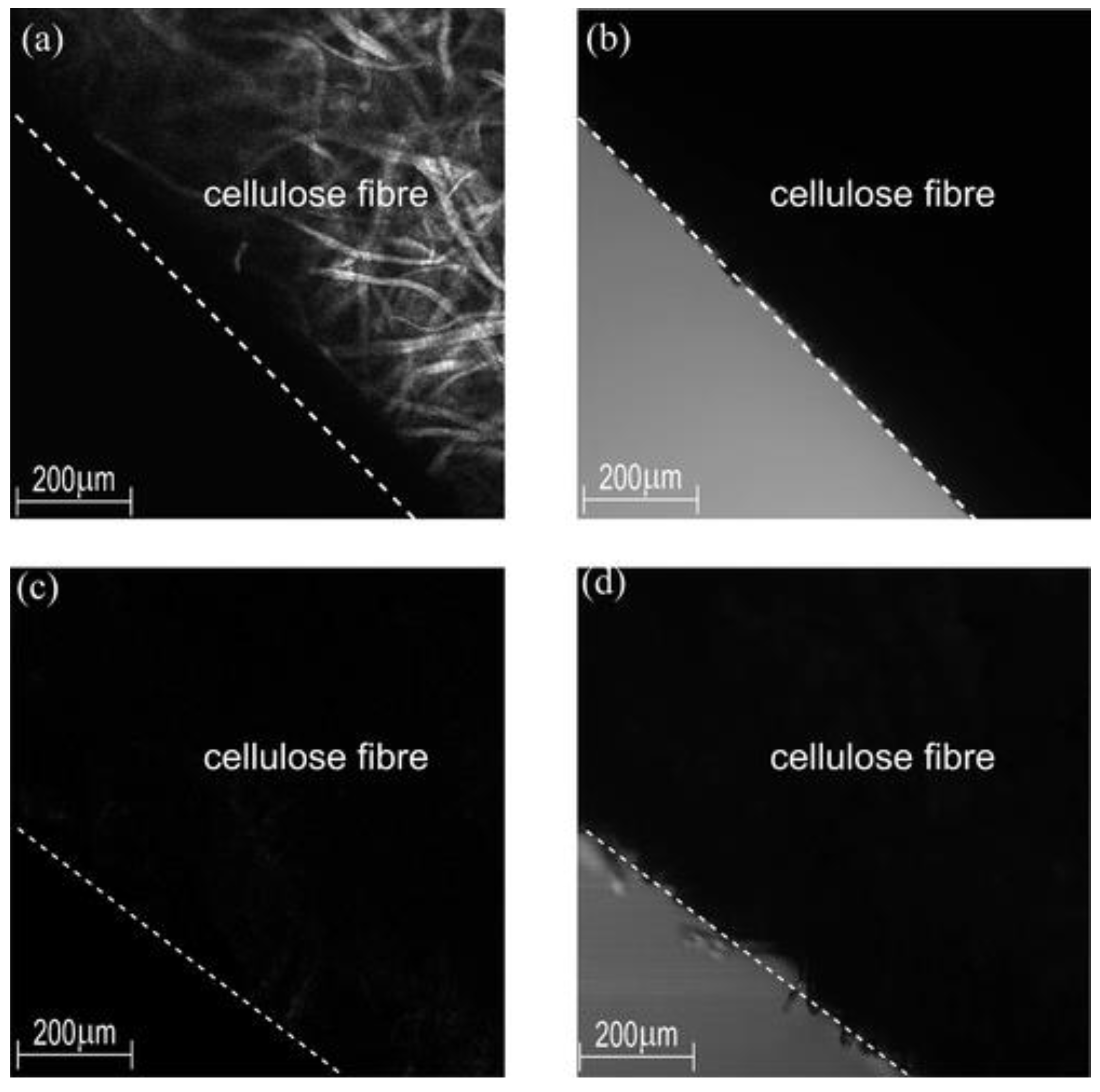 Polymers 14 03206 g003 550