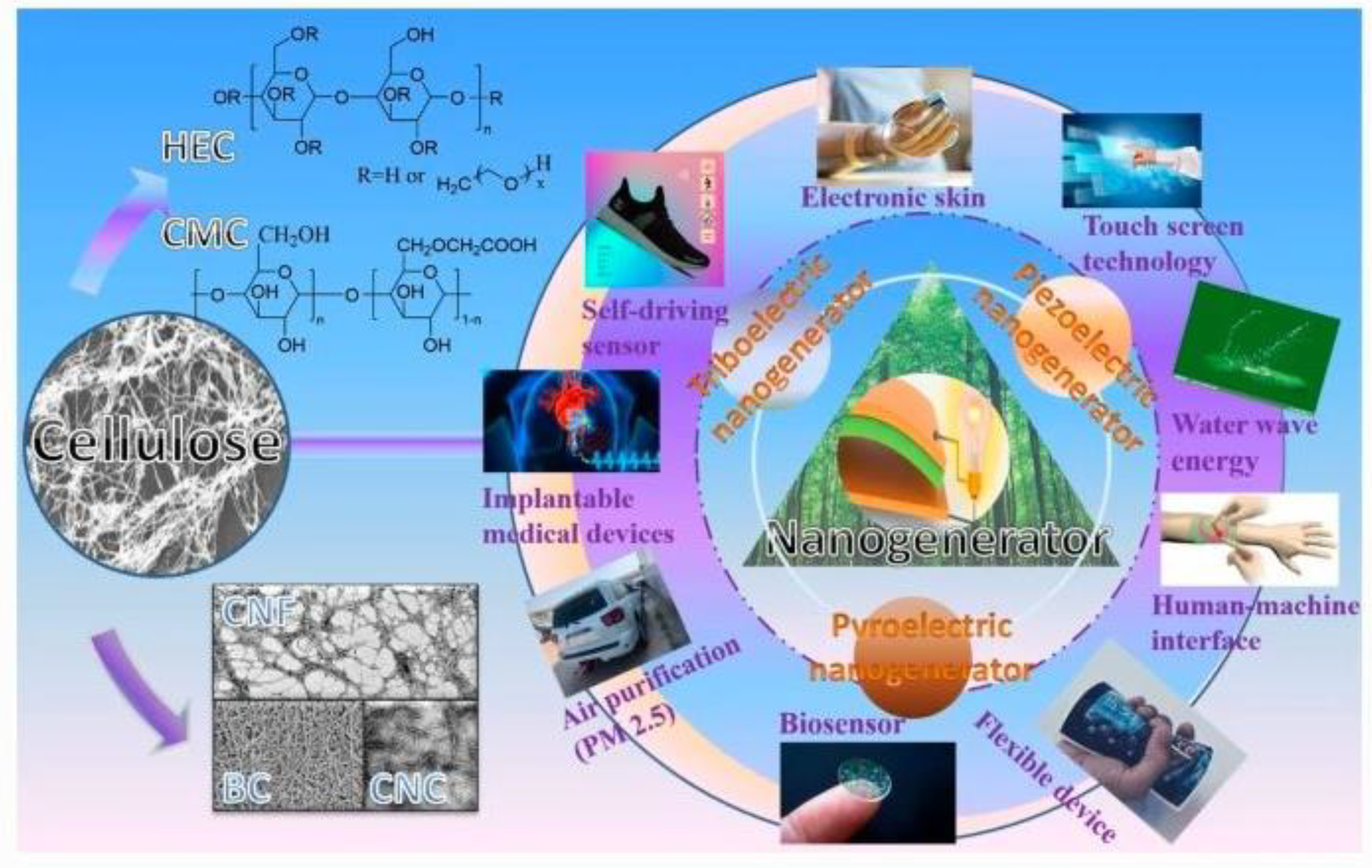 Polymers 14 03206 g006 550