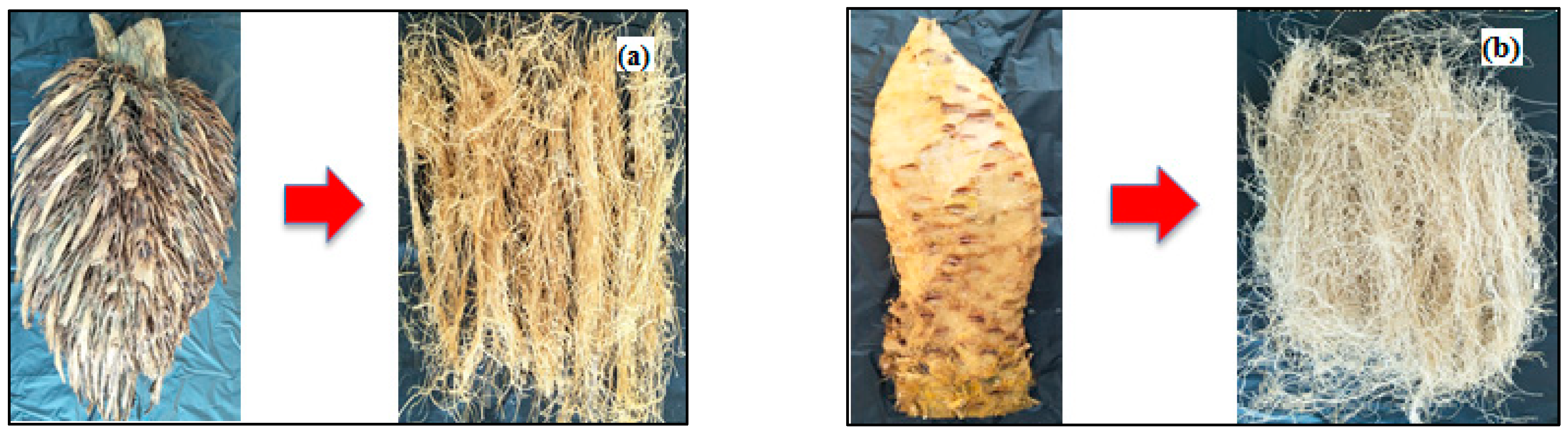 Polymers 14 03208 g002 Polymers 14 03208 g002
