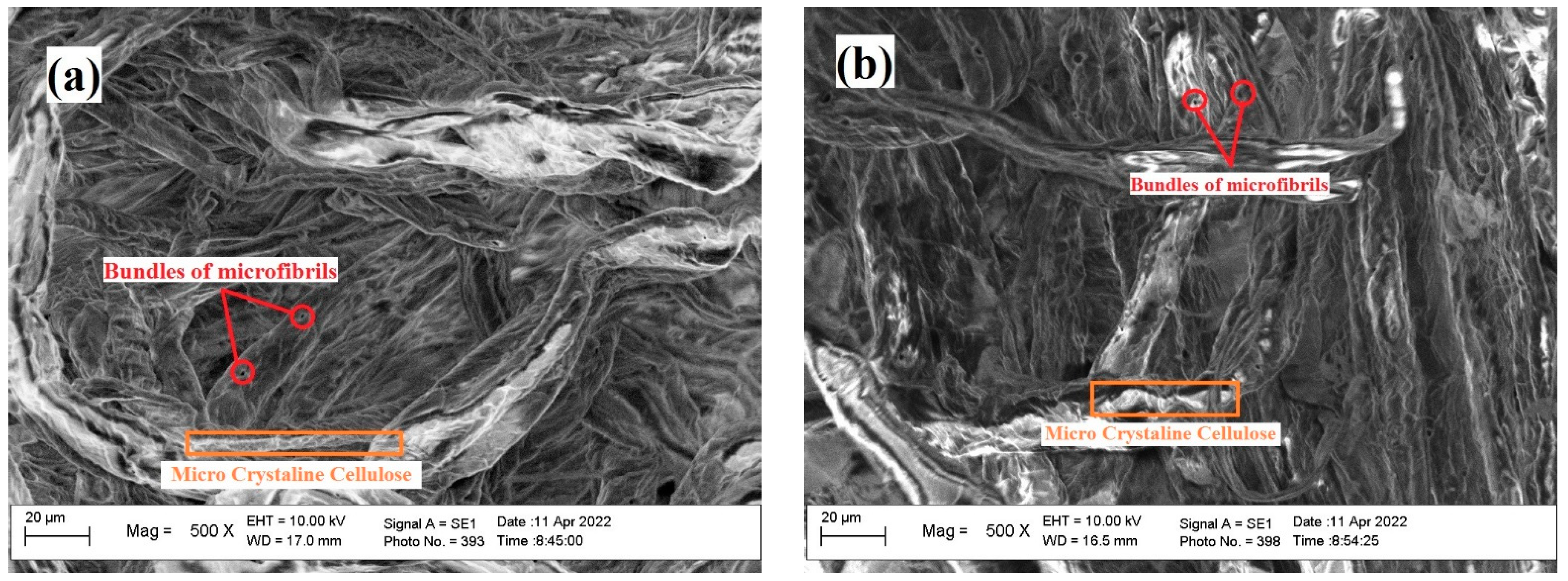 Polymers 14 03208 g009 Polymers 14 03208 g009